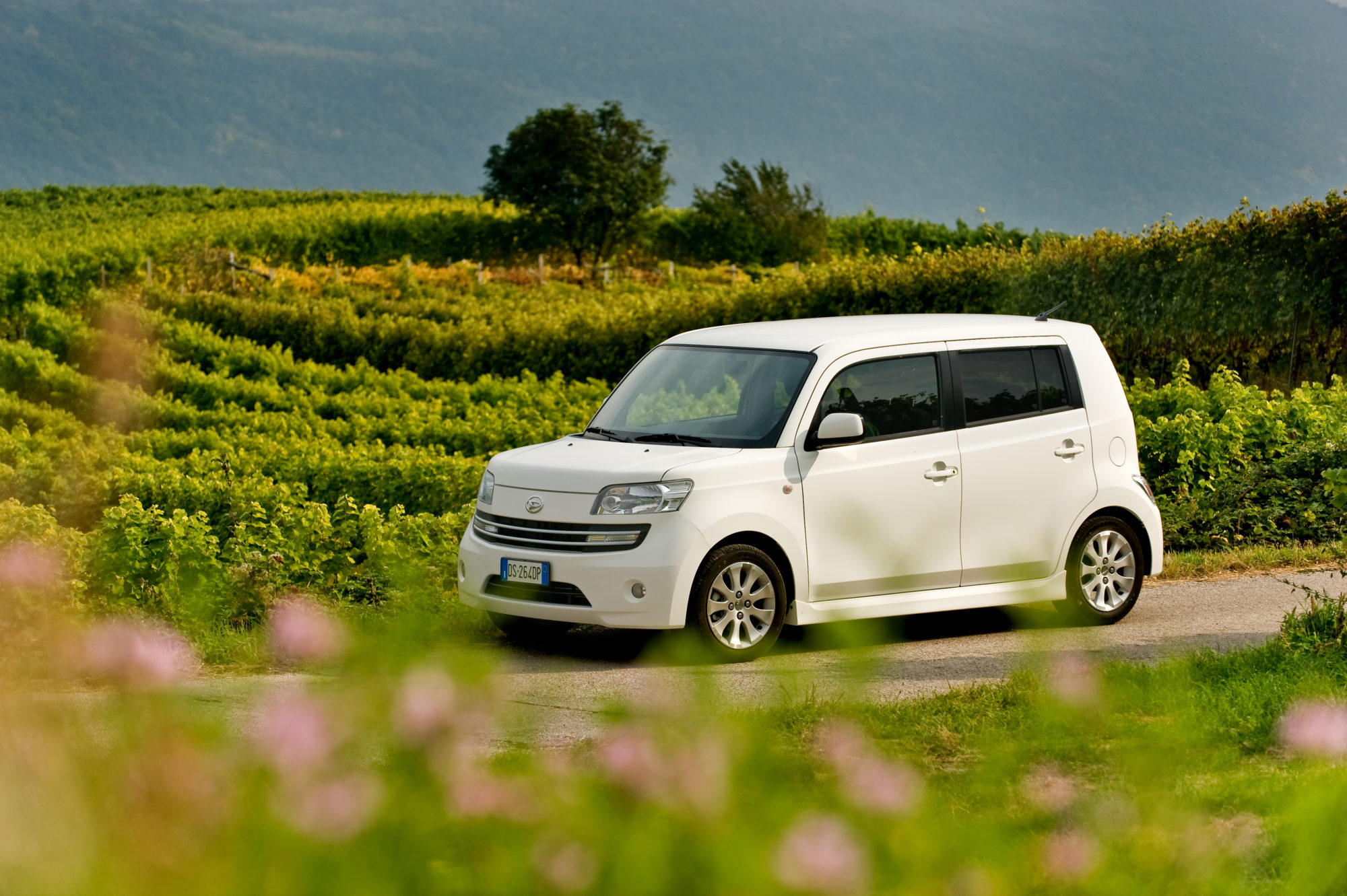 Foto di Calendario Daihatsu