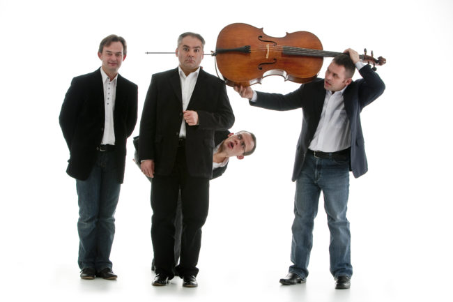 mozart group