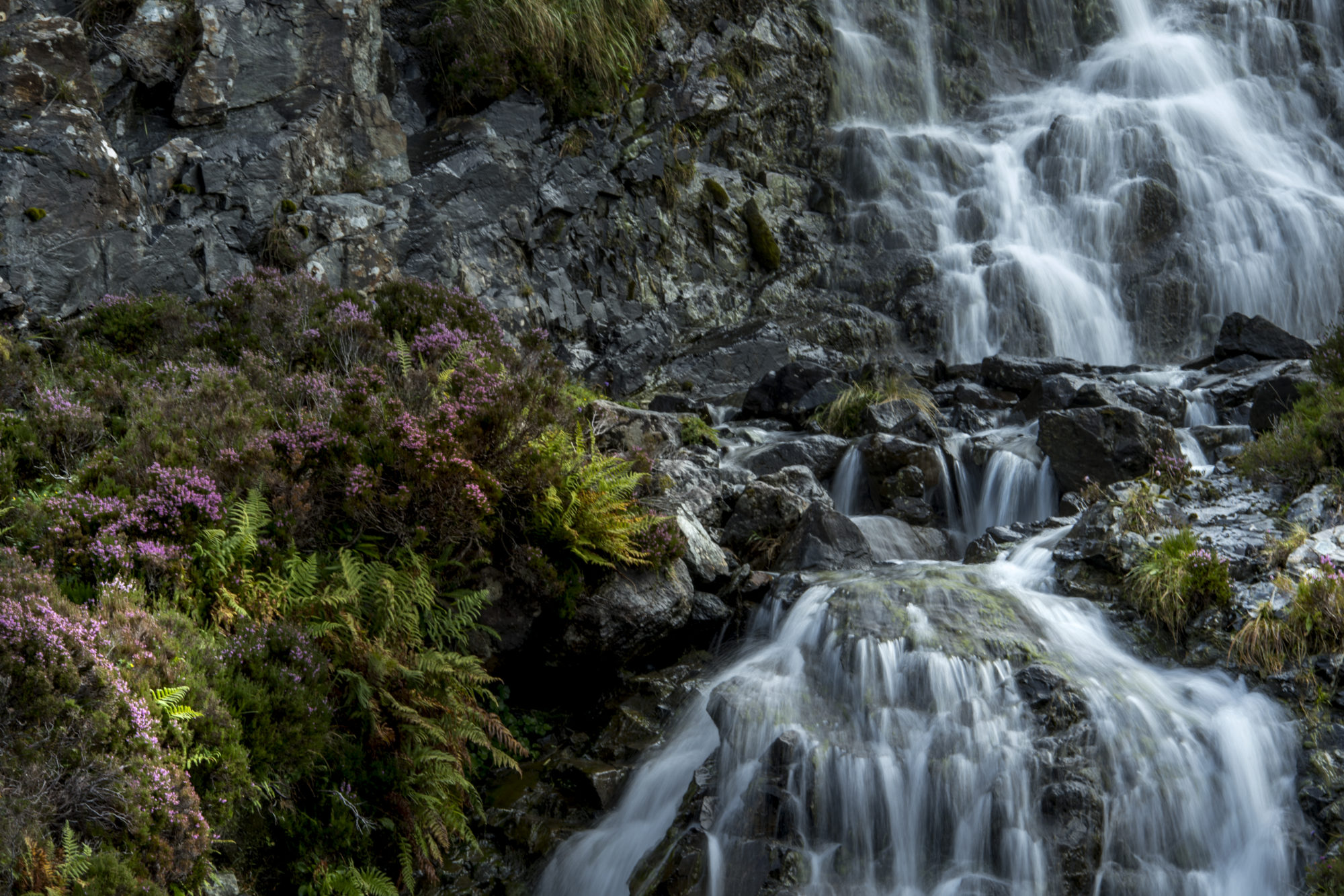 Foto di Cascata