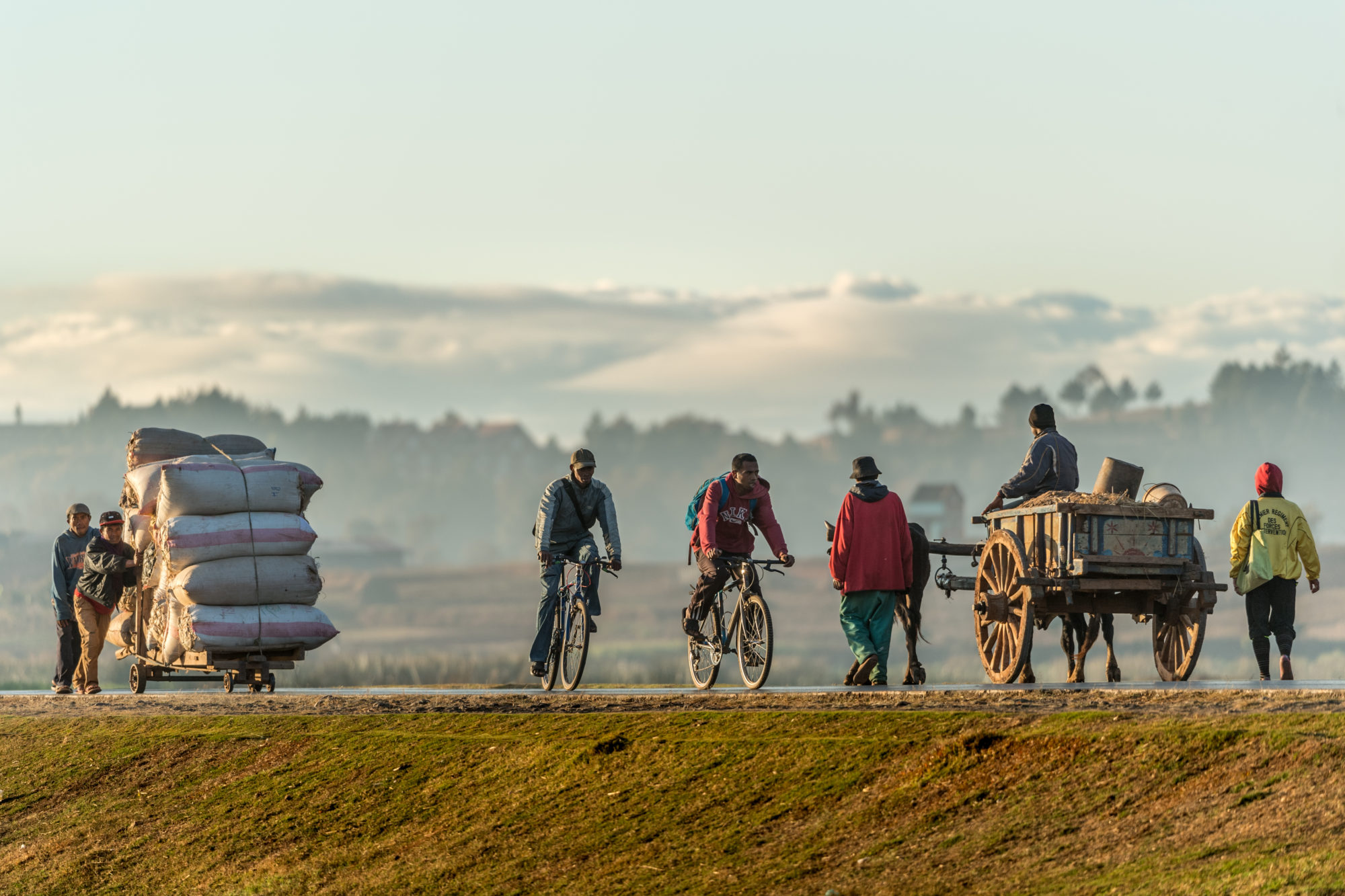 Foto di uomini sulla strada in mezzo ai campi