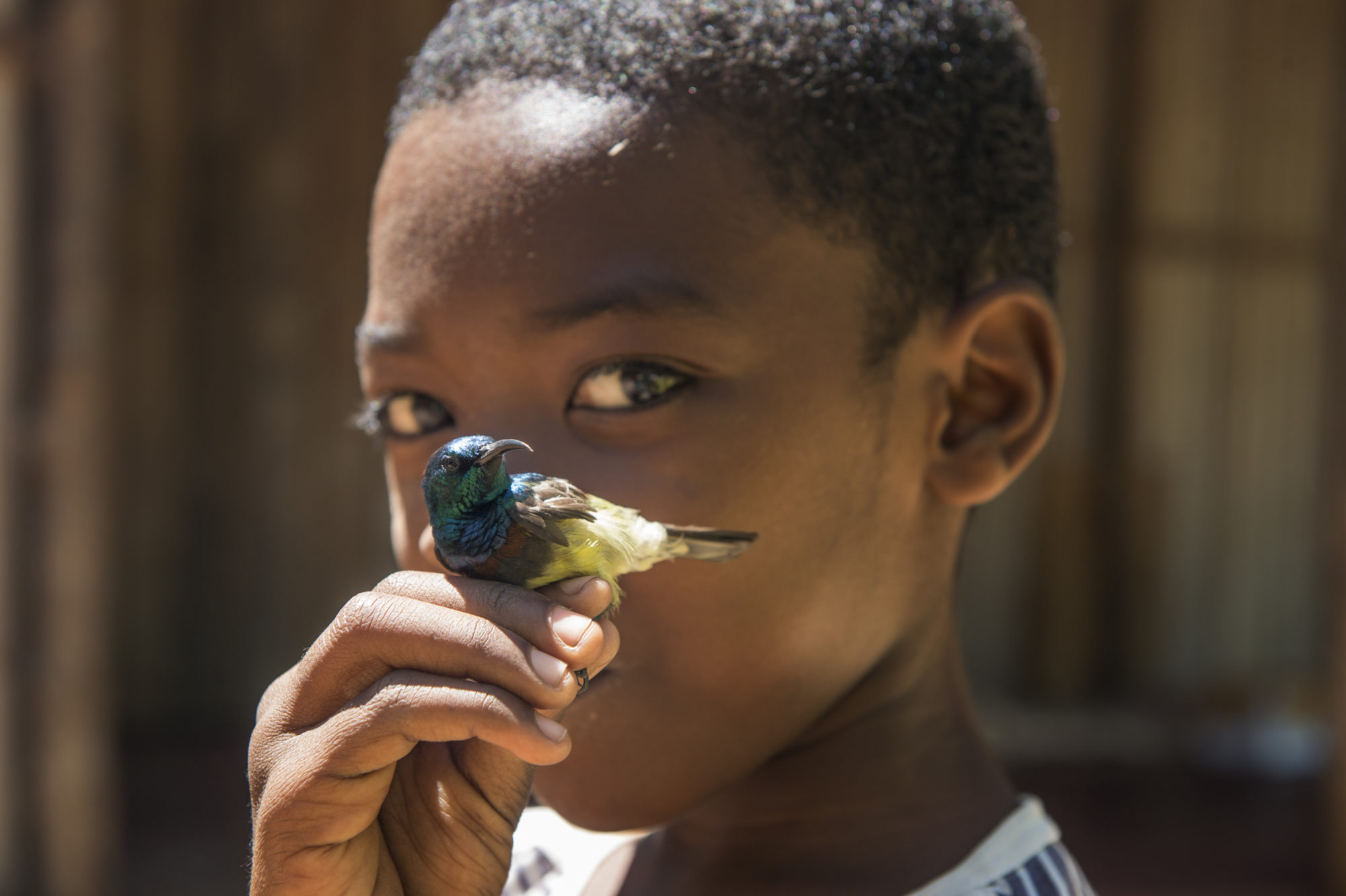 Foto di un bambino tiene in mano un colibri