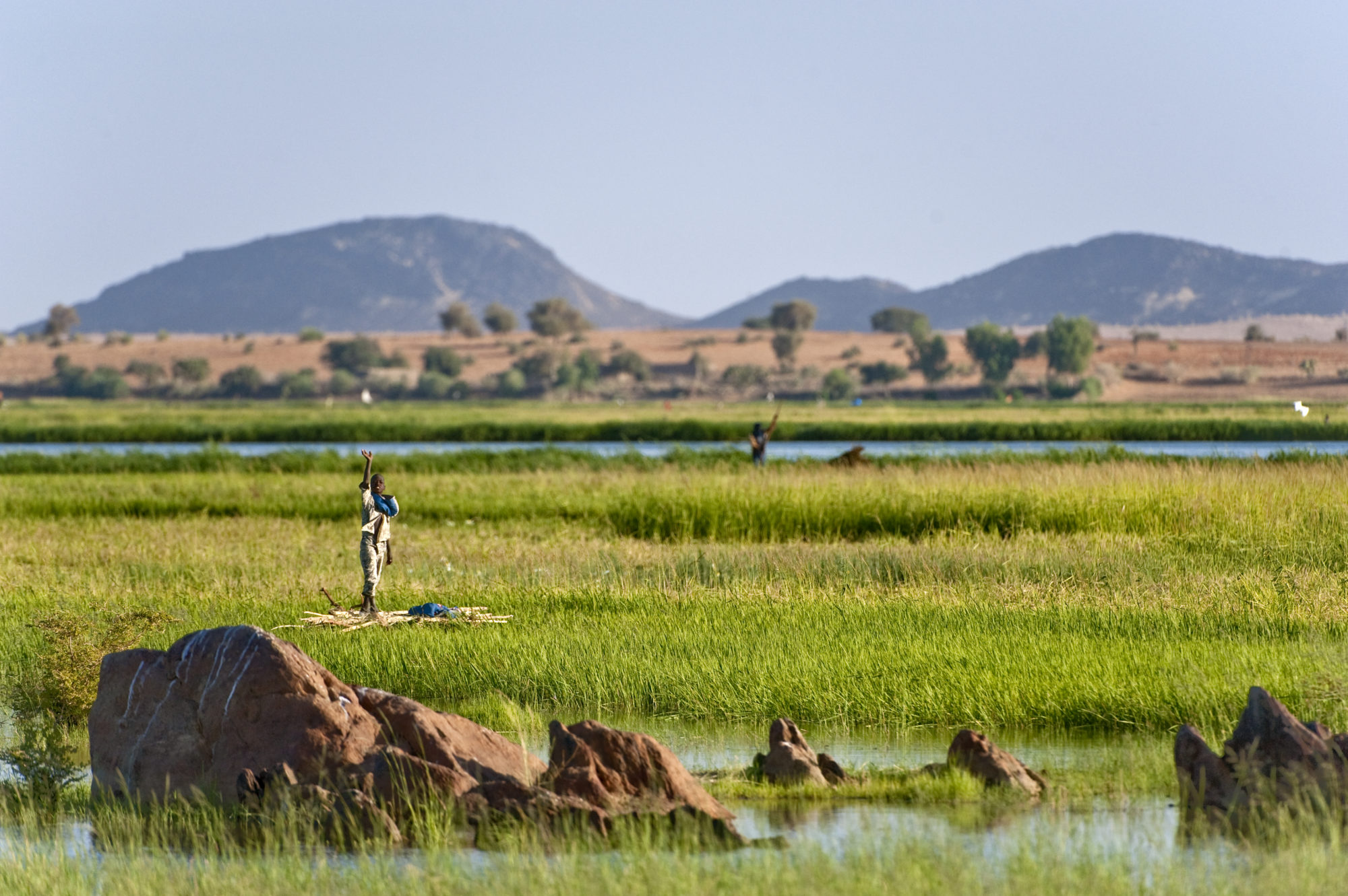 Foto di Ragazzo in una risaia sul fiume Niger