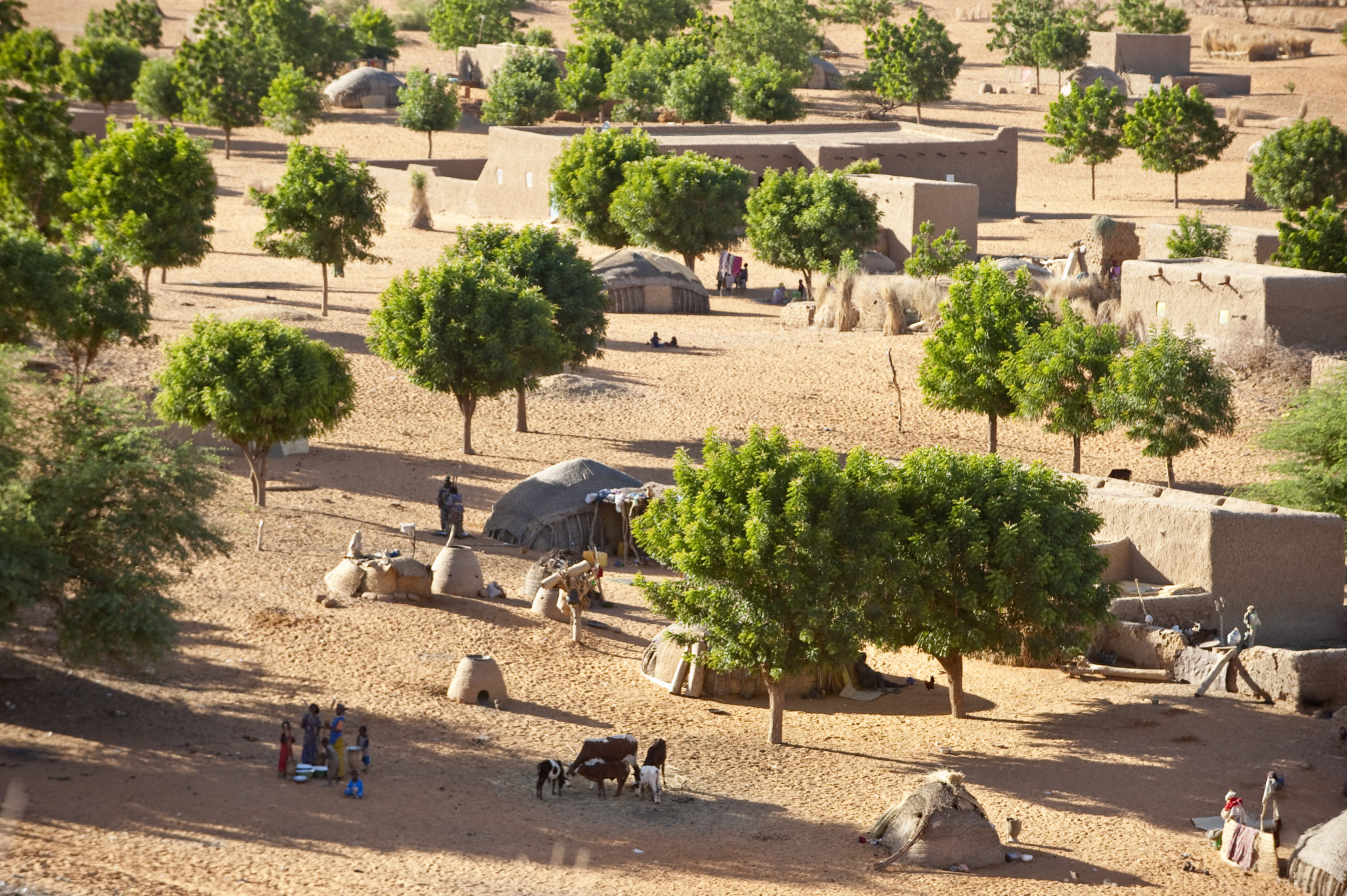 Foto di Gente al lavoro in un villaggio alle spalle della Gran dune du Gao