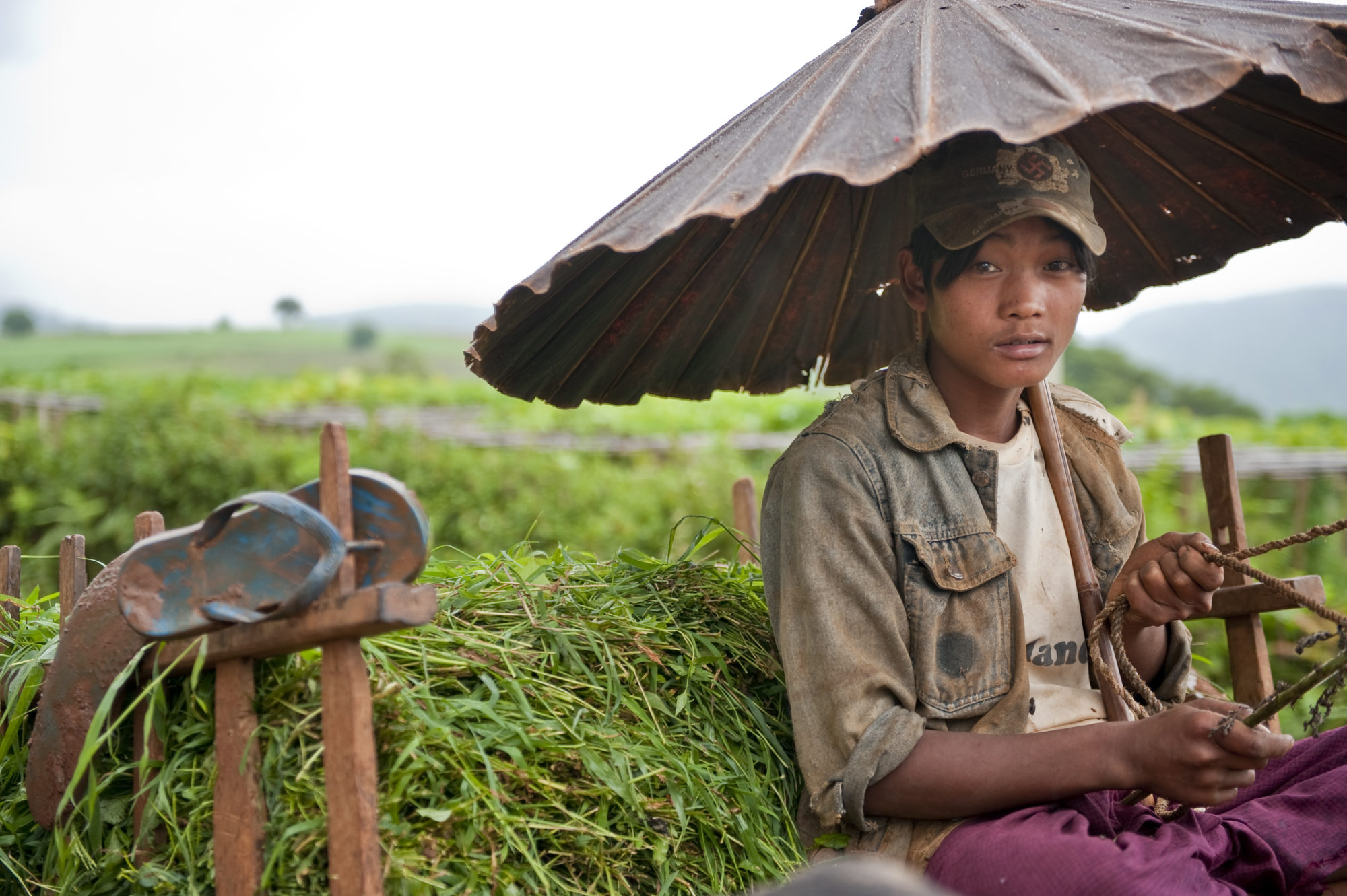 Foto di Un giovane agricoltore su un carro in Myanmar