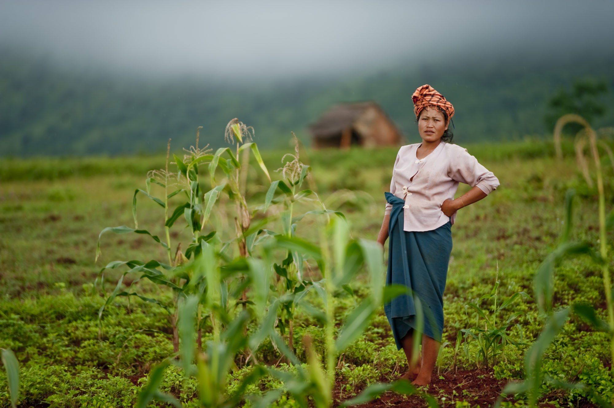 Foto di Una contadina nei pressi del lago Inle