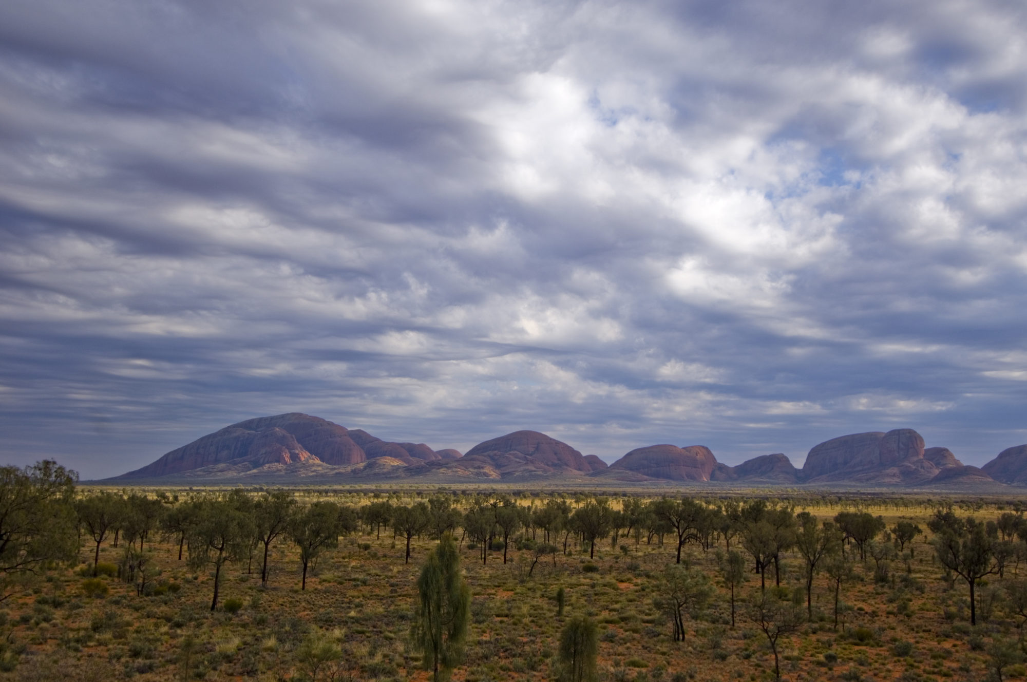 Foto di Bush australiano con le olgas mountains sullo sfondo sotto un cielo coperto di nuvole