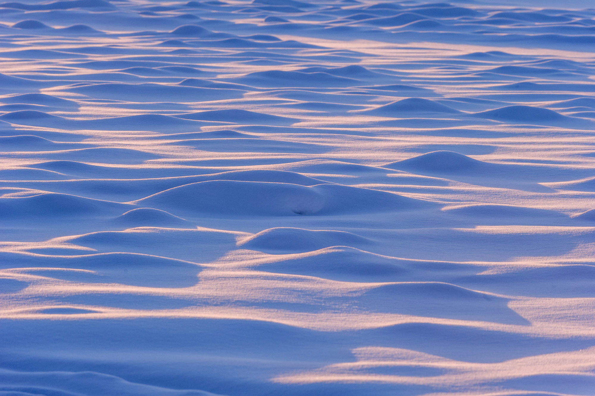 Foto di la superficie ghiacciata ricoperta di neve del fiume ghiacciato