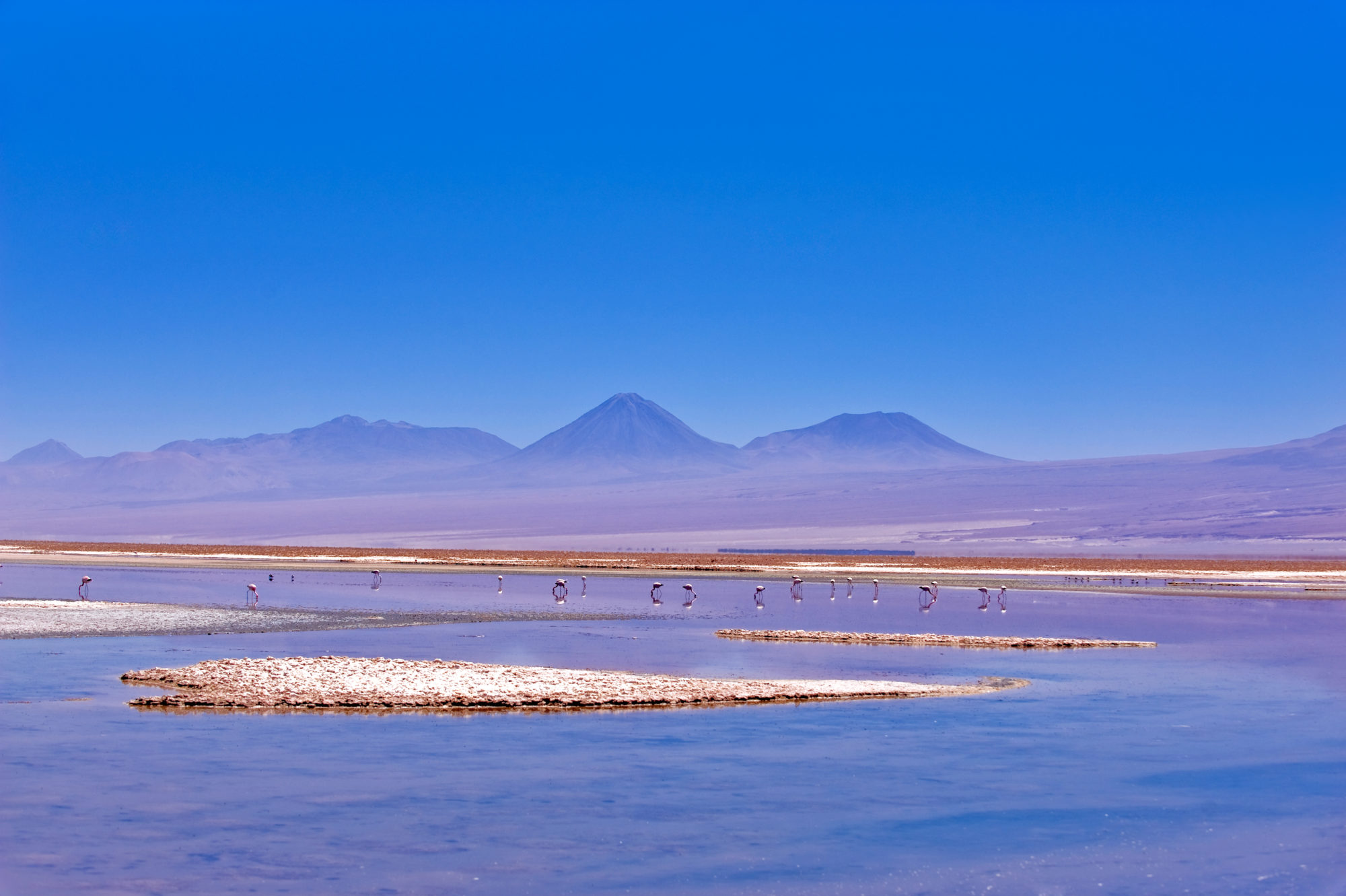 Foto di laguna nel deserto di atacama