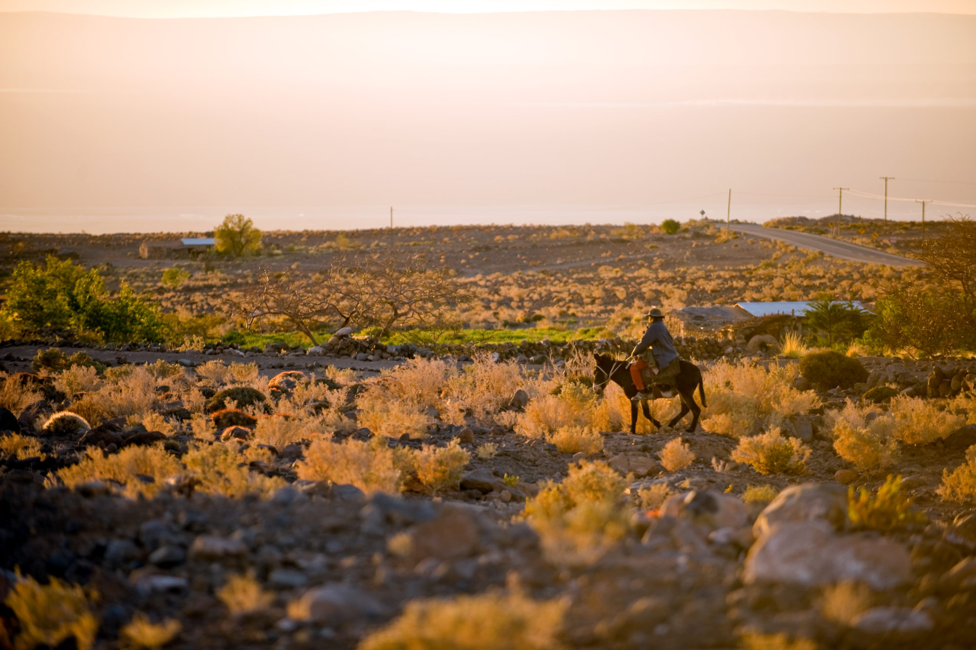 Foto di uomo a dorso di asino nel deserto di atacama, cile