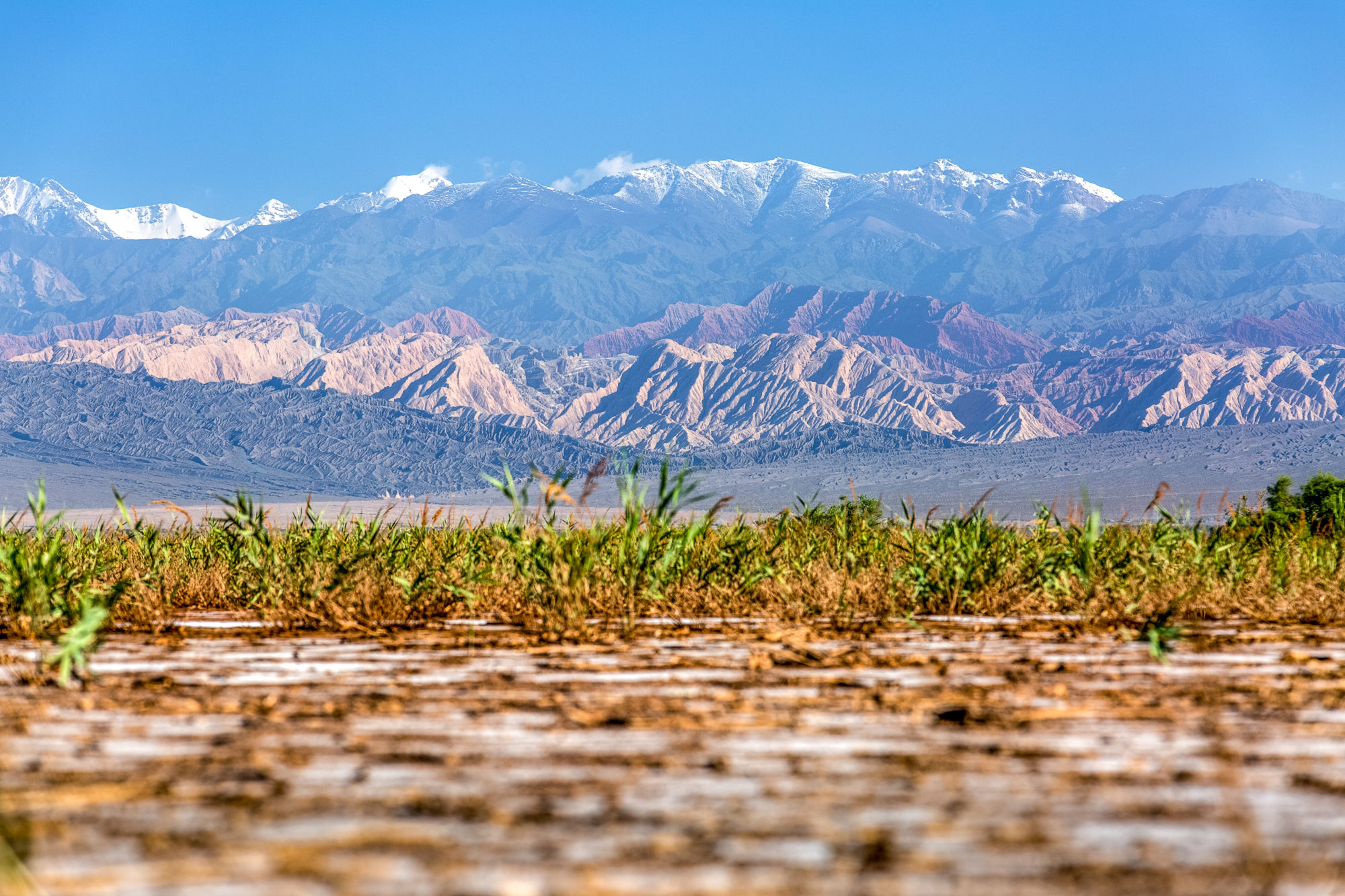 Foto di Ingresso del deserto del Taklamakan