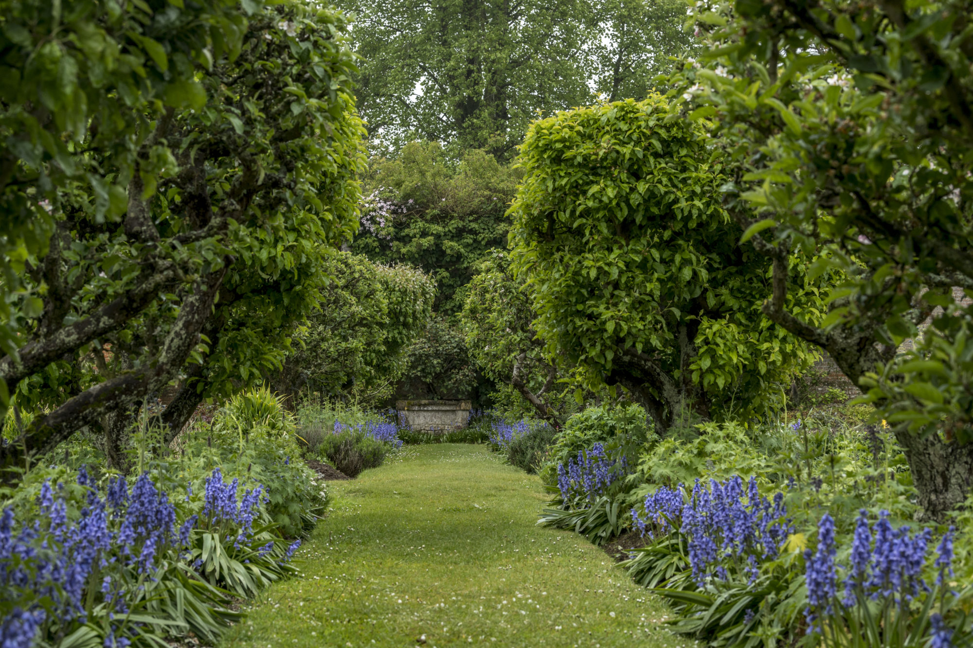 Foto di Giardino di Château de Miromesnil