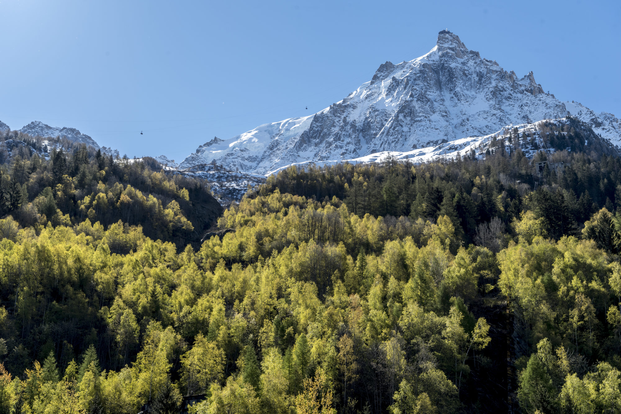 Foto di Monte Bianco