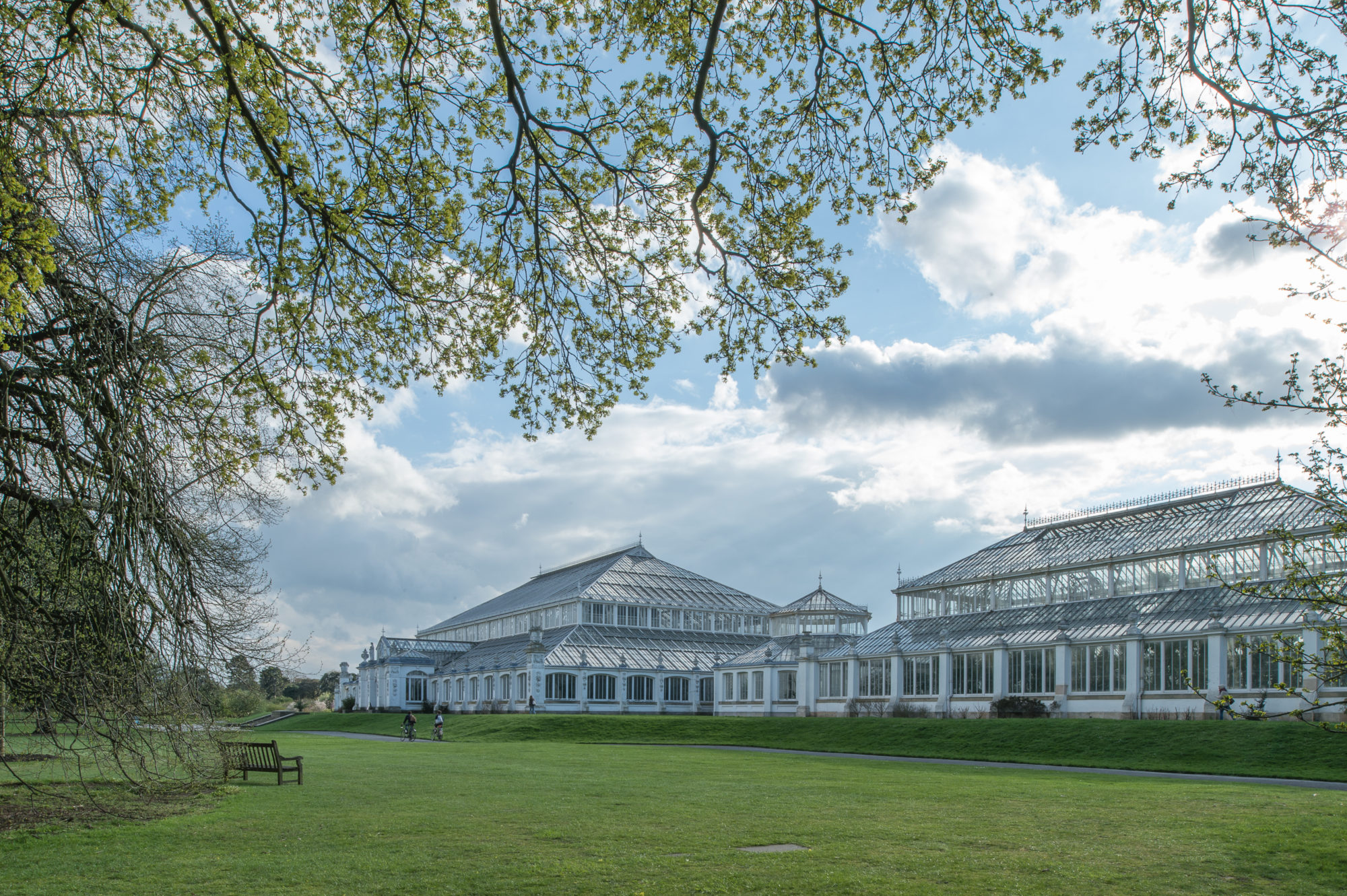 Foto di Giardini Botanici Reali di Kew