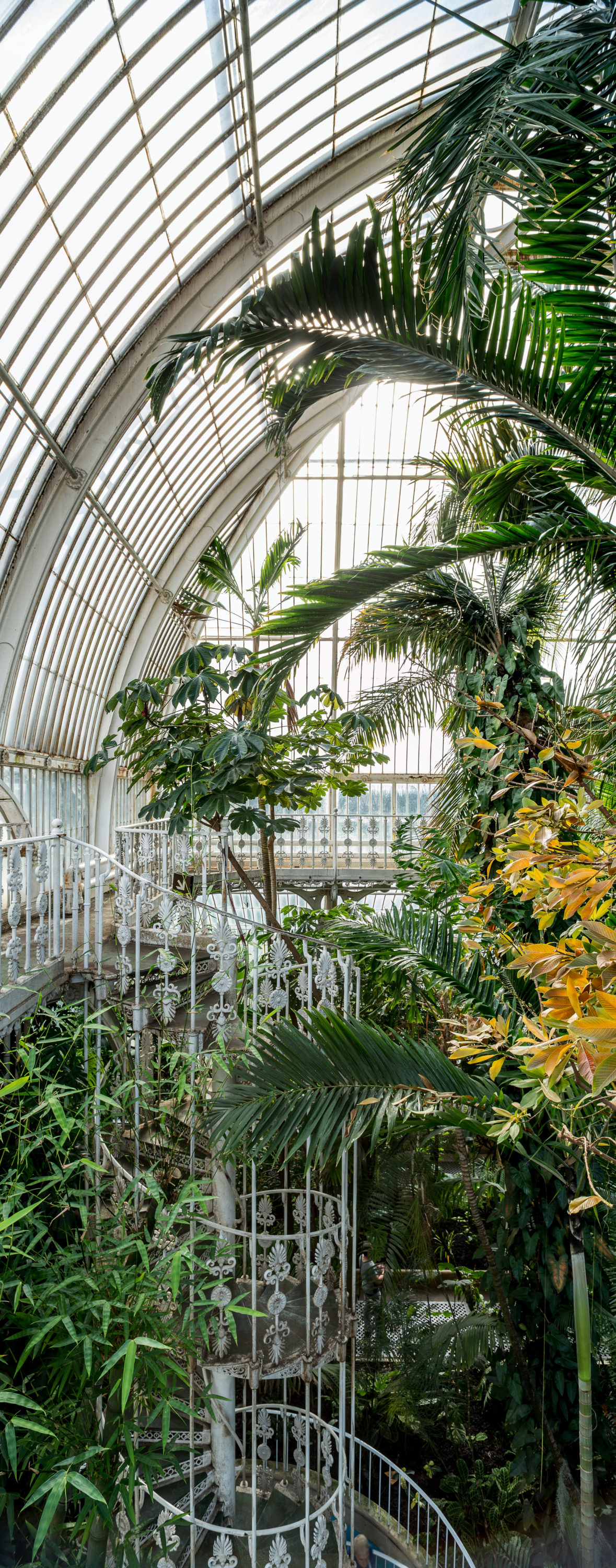 Foto di Giardini Botanici Reali di Kew