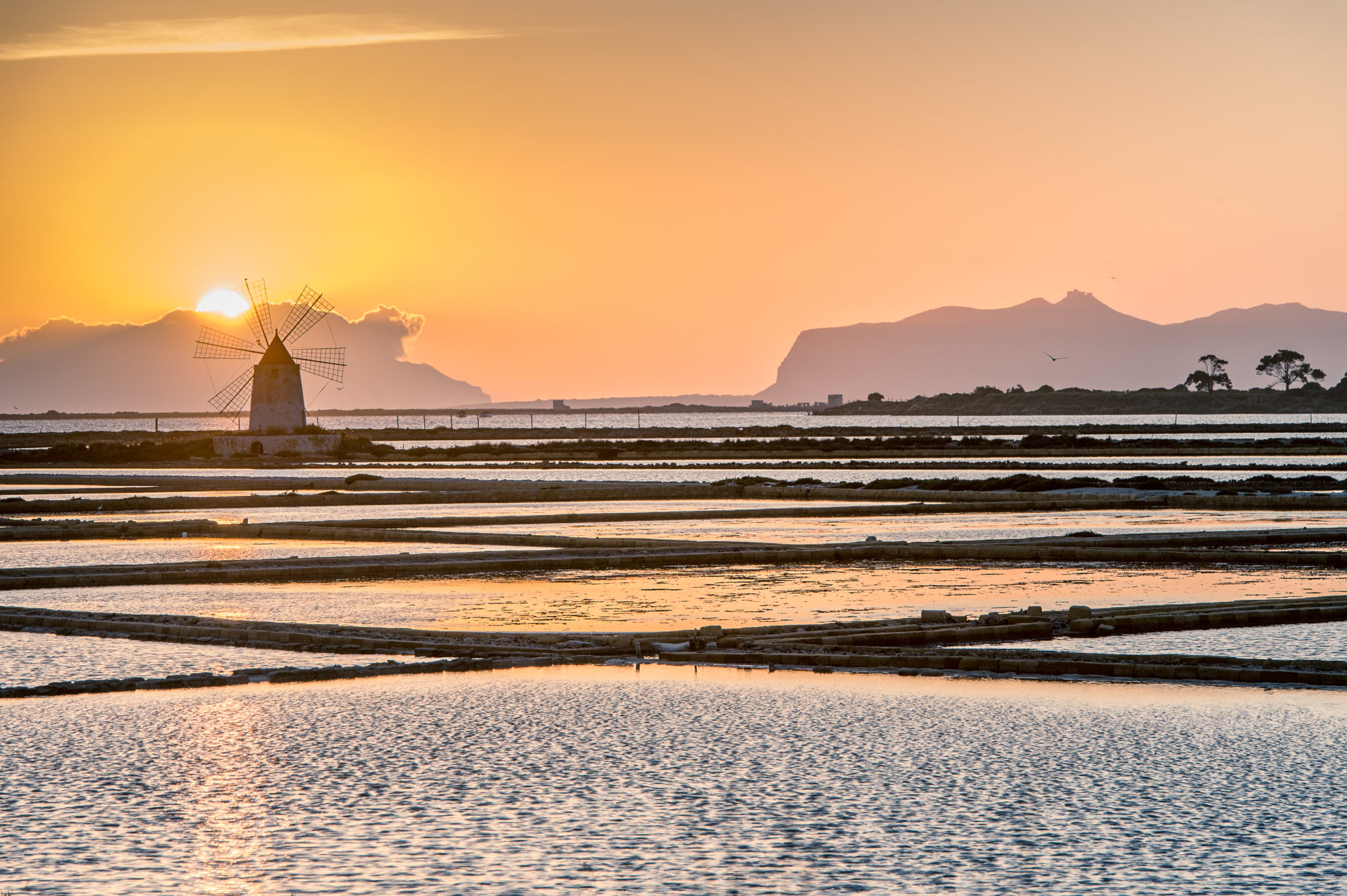 Foto di Mulino di Marsala