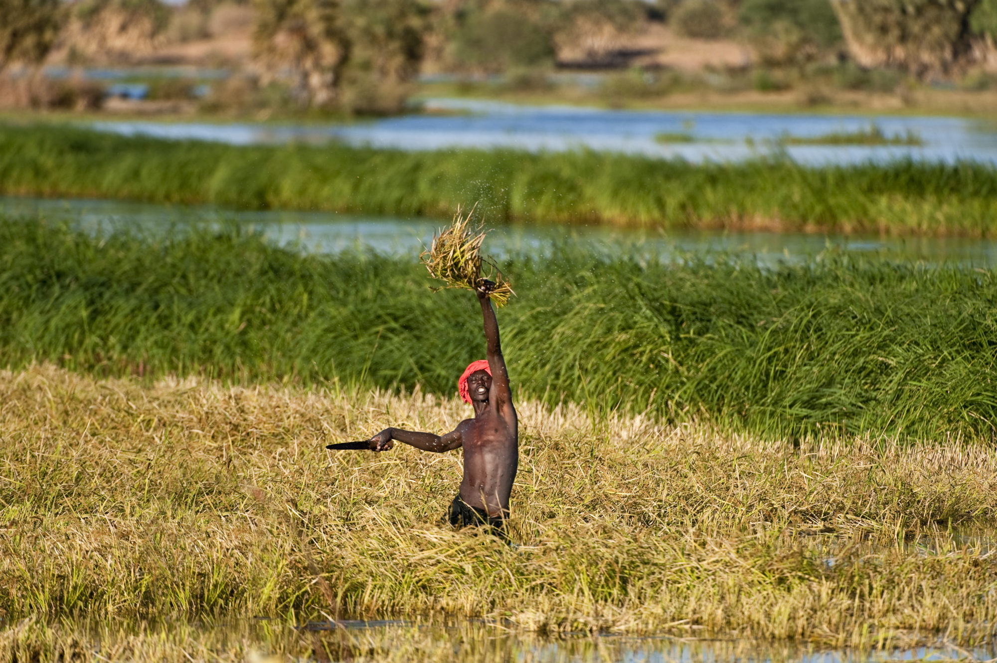 Foto di Agricoltore sul fiume Niger