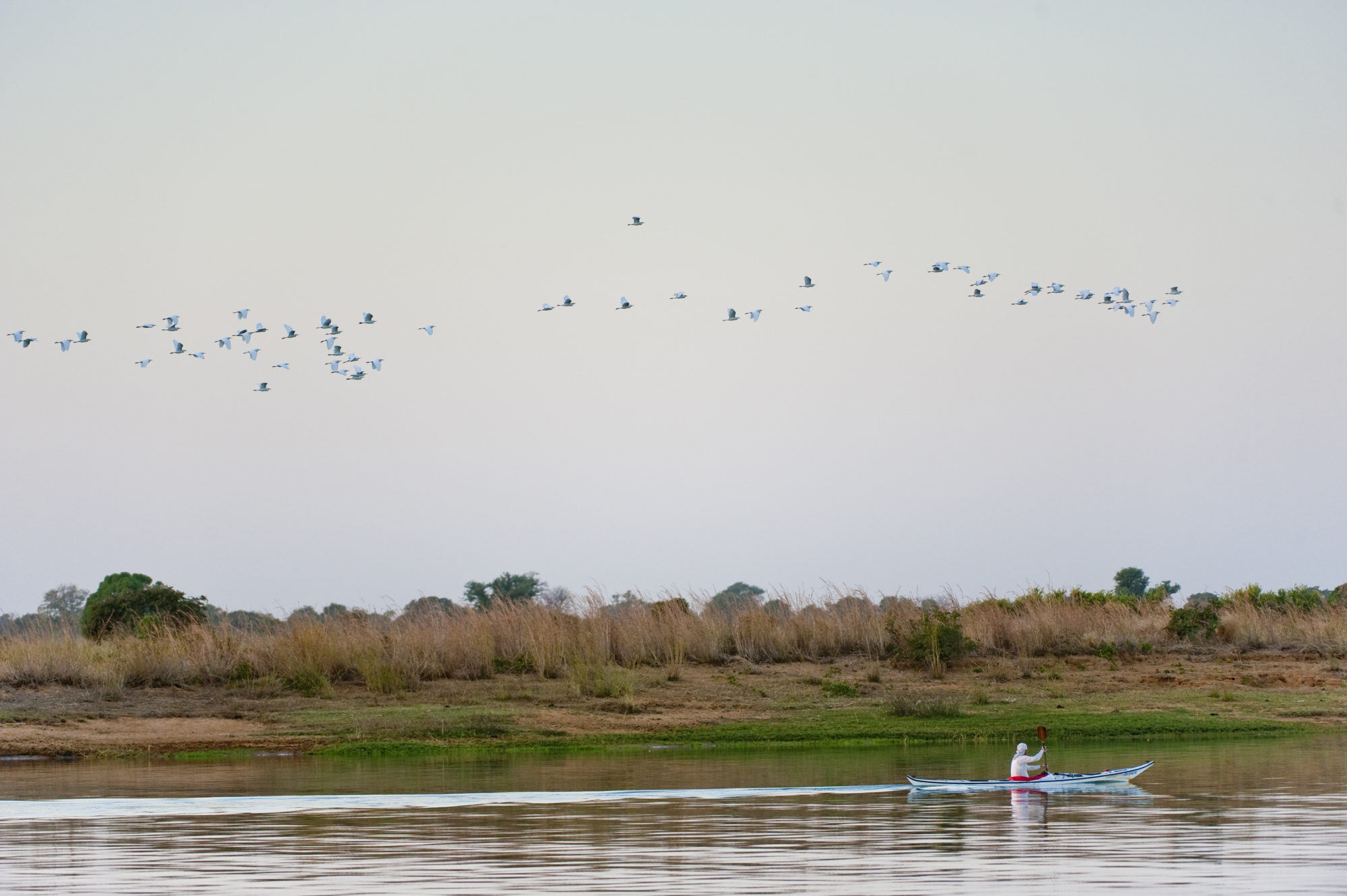 Foto di Aldo Mazzocchi pagaia sul fiume Niger