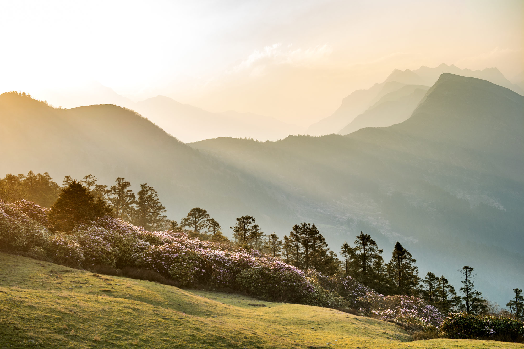 Foto di Veduta da Tambuchet