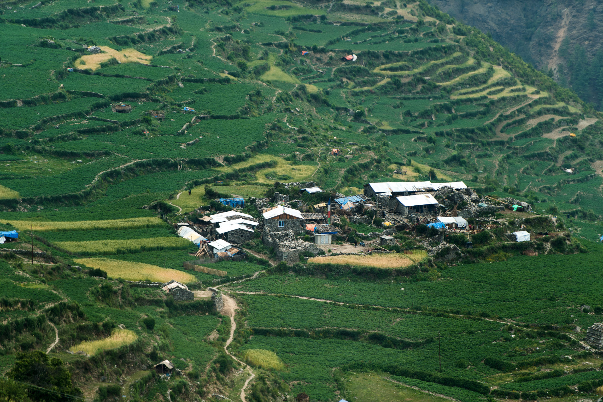 Foto di nell’area di gatlang, veduta dall’alto di un villaggio