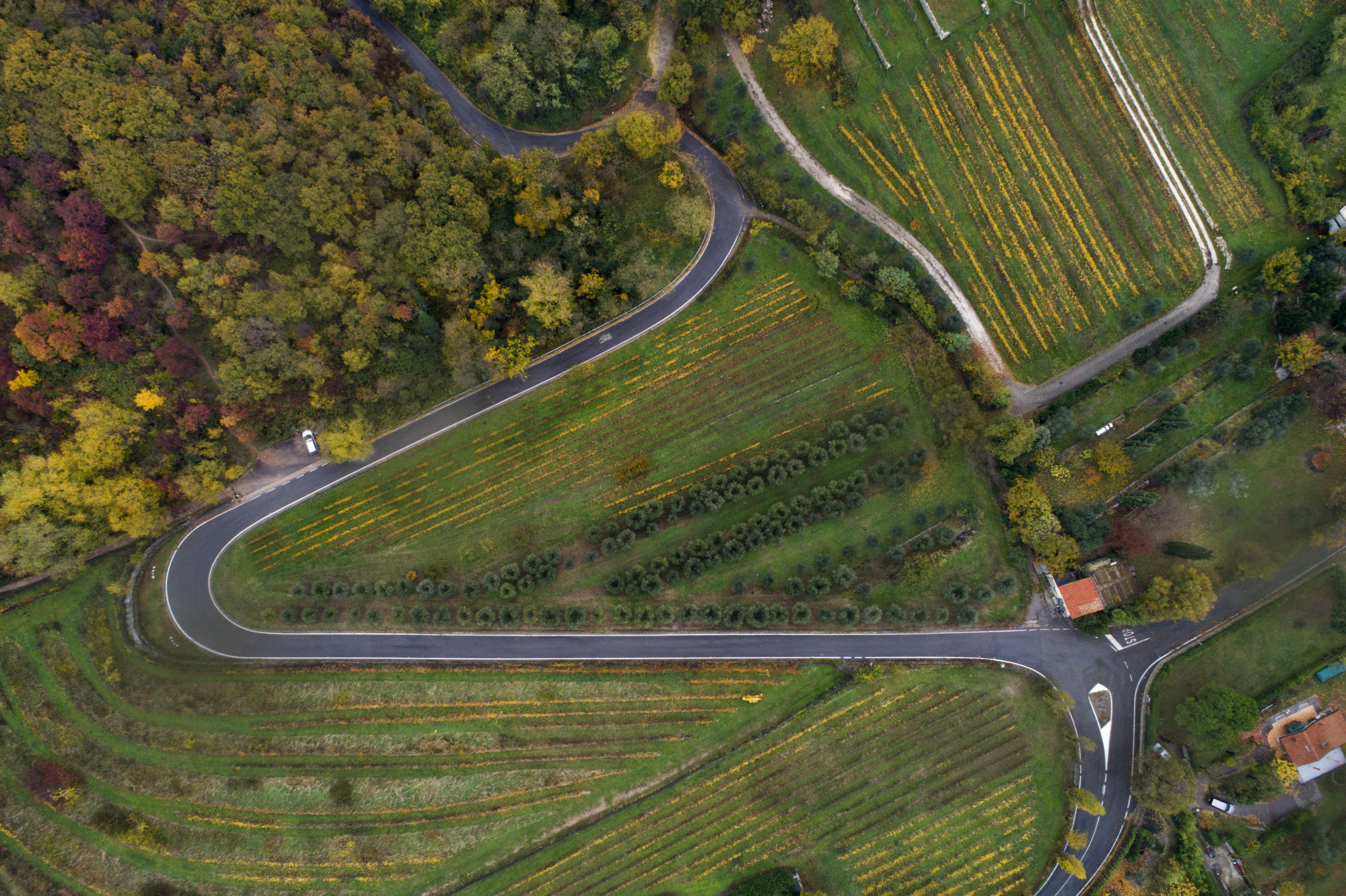 Foto di Veduta della strada dei Campiani