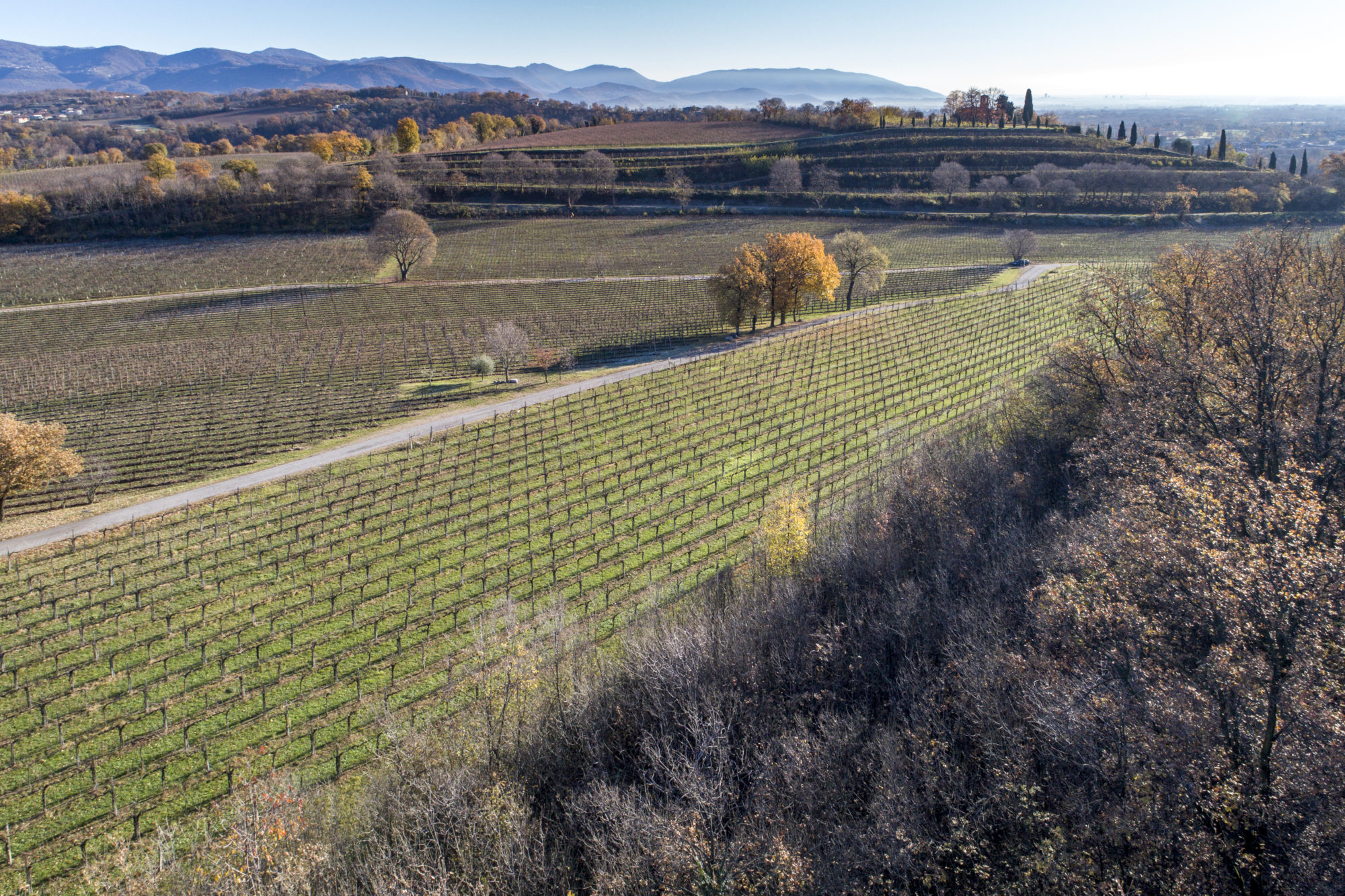 Foto di Le colline della franciacorta in autunno