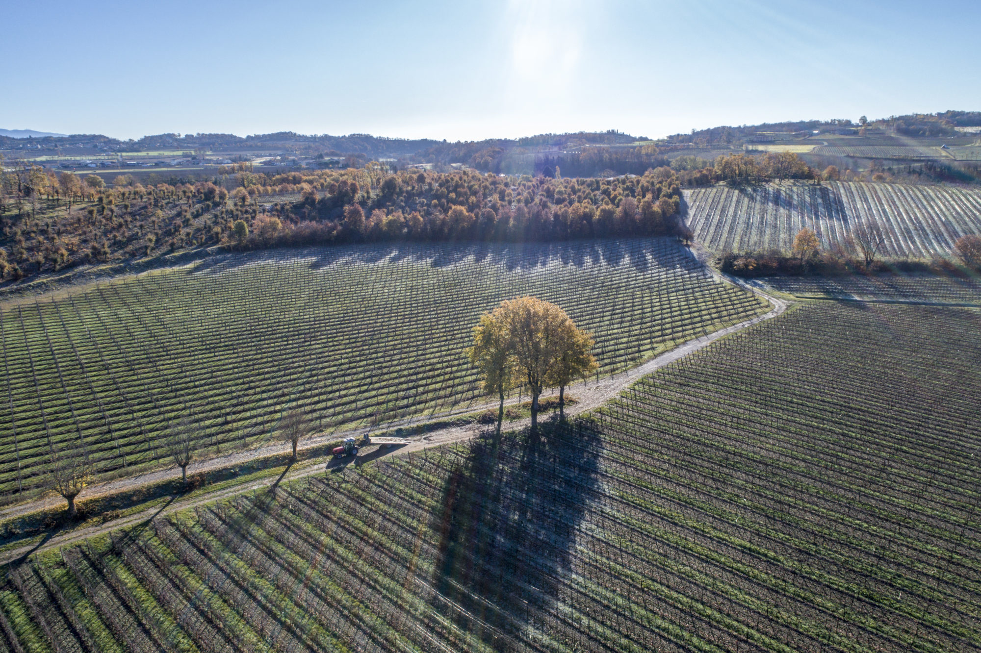 Foto di Le colline della Franciacorta