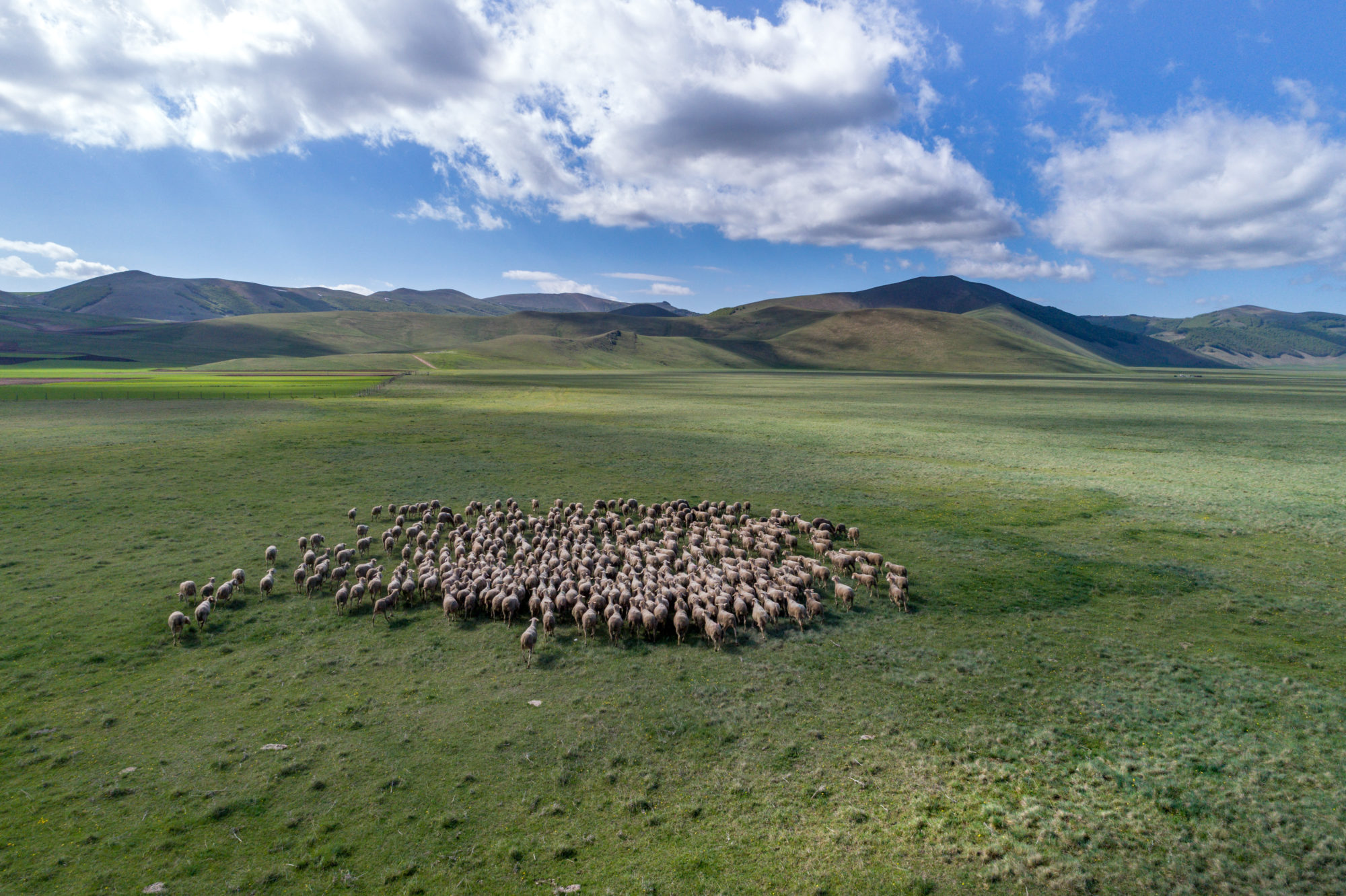 Foto di Castelluccio di Norcia