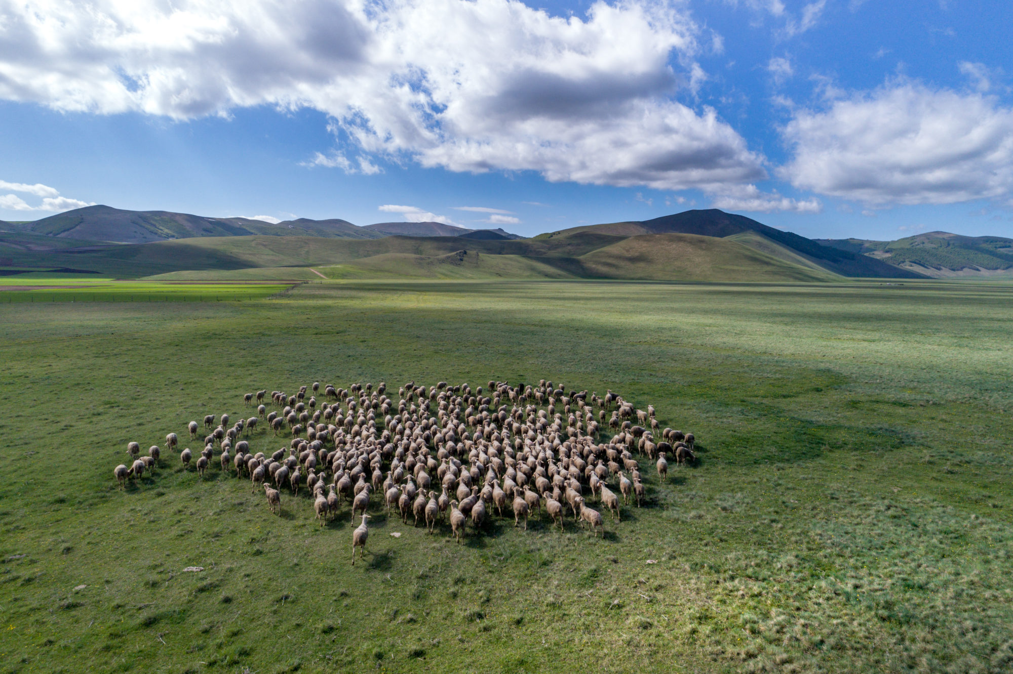 Foto di Castelluccio di Norcia