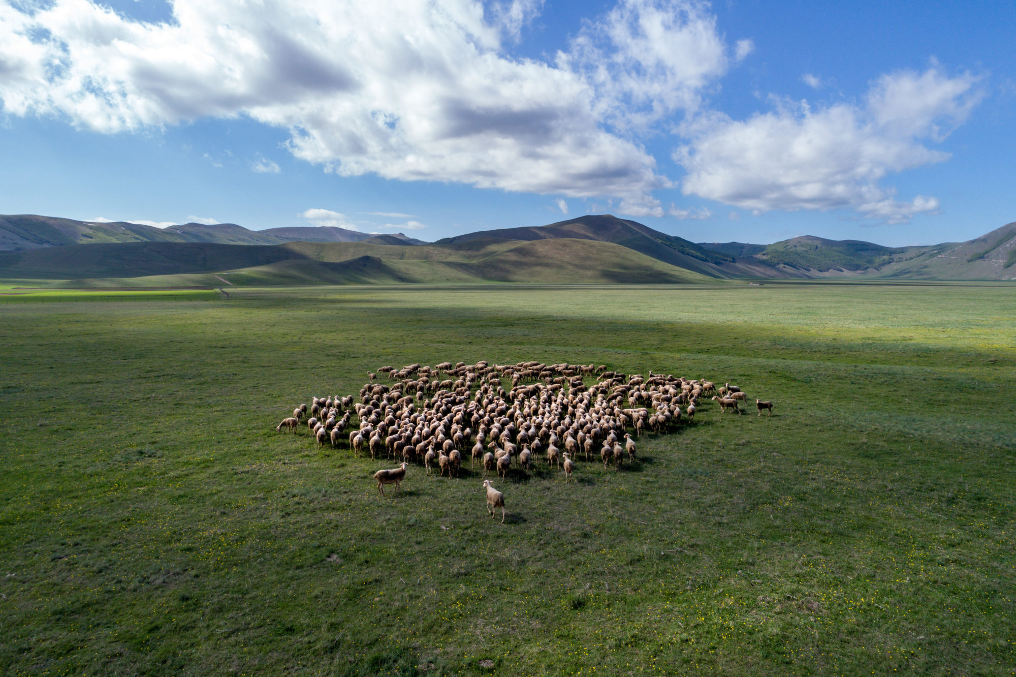 Foto di Castelluccio di Norcia