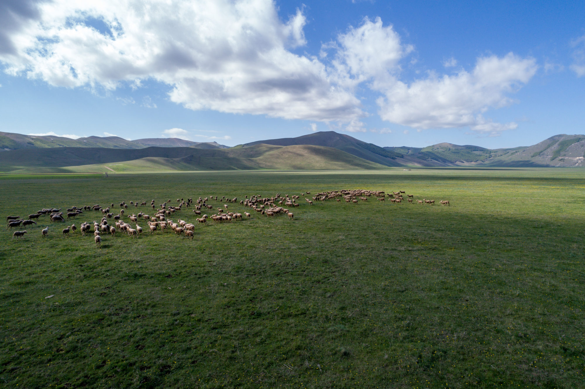 Foto di Castelluccio di Norcia