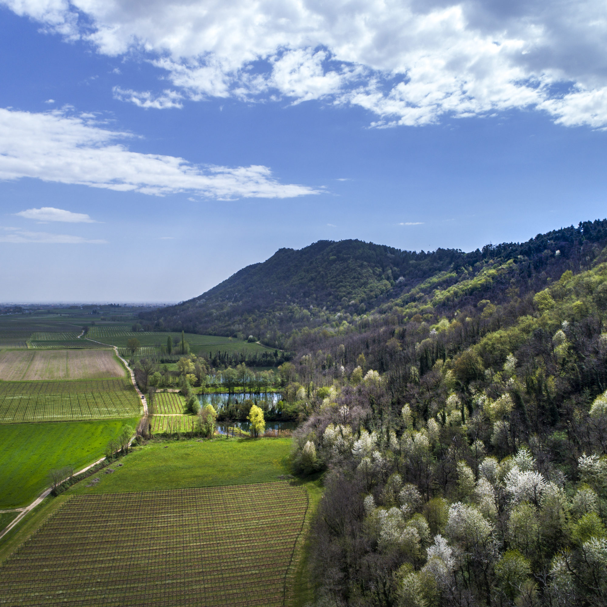 Foto di Drone: Riprese aeree