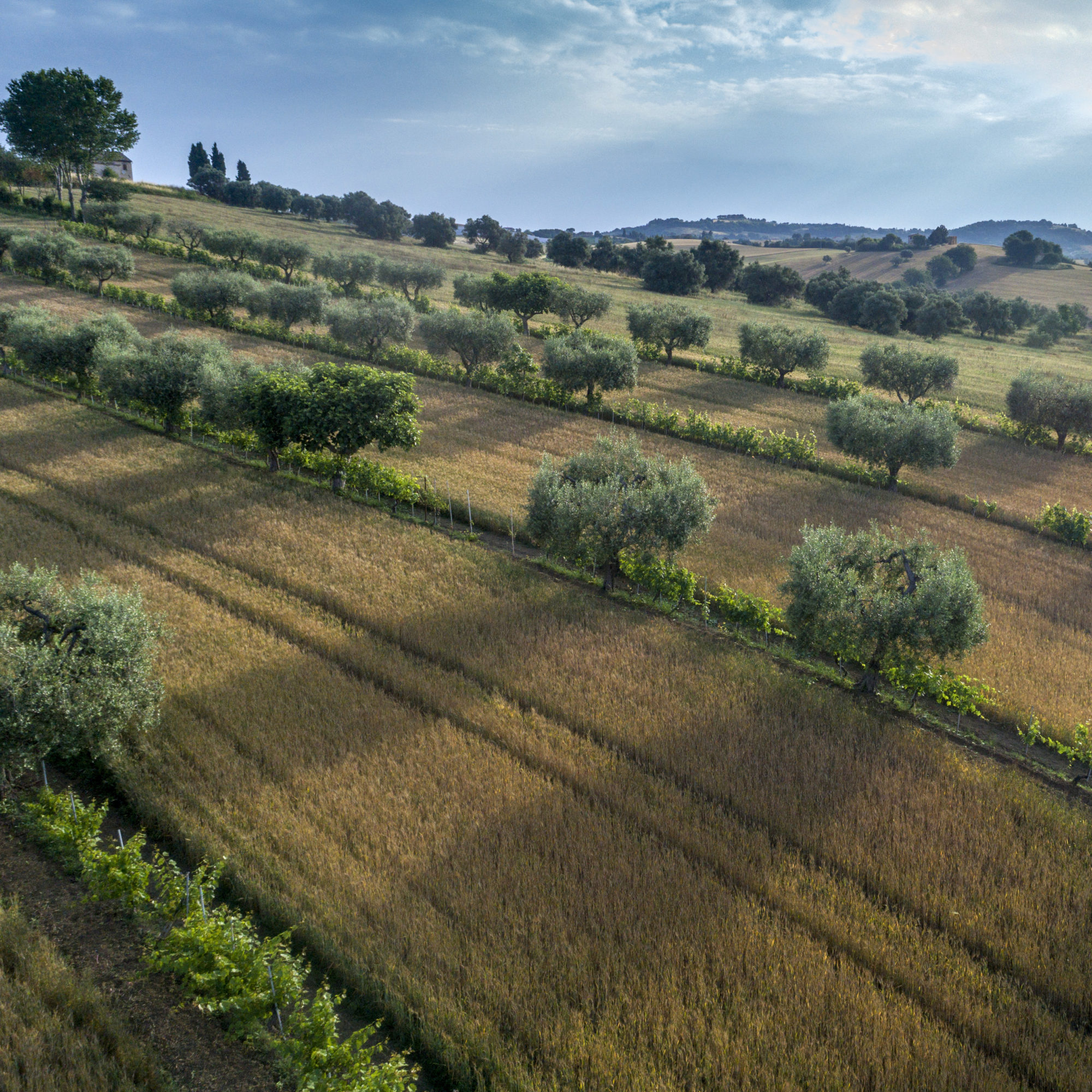 Foto di Drone: Riprese aeree