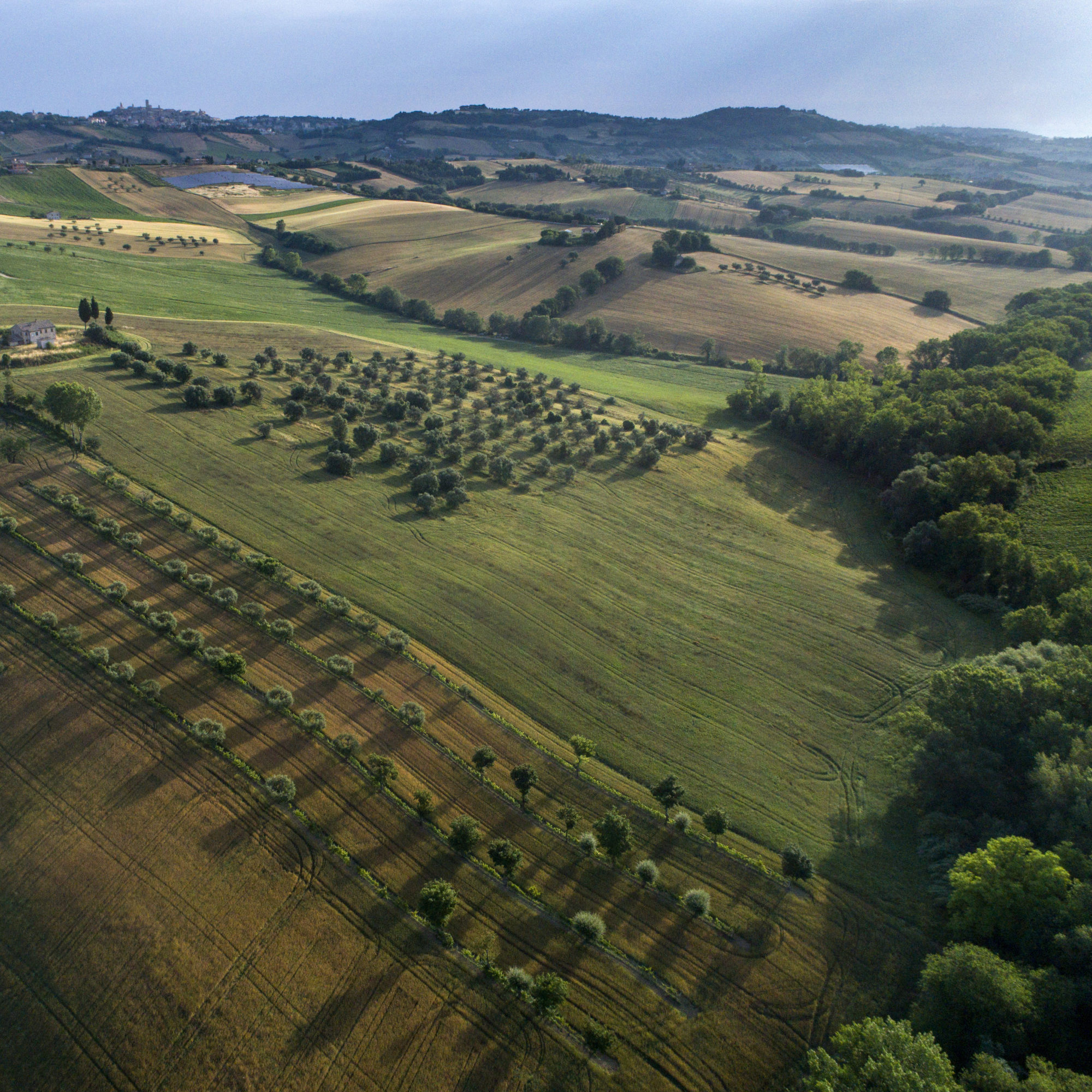 Foto di Drone: Riprese aeree