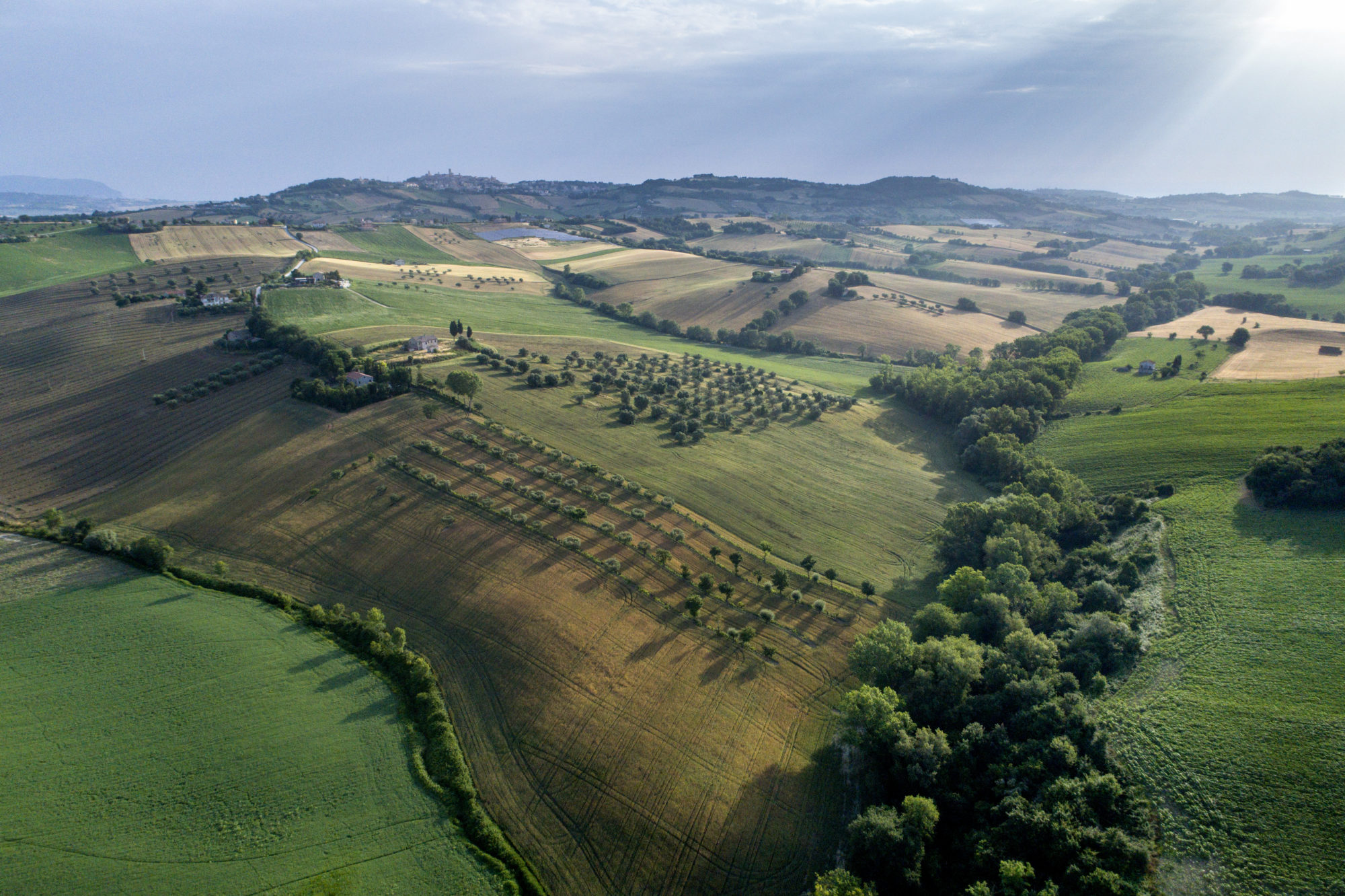 Foto di Drone: Riprese aeree