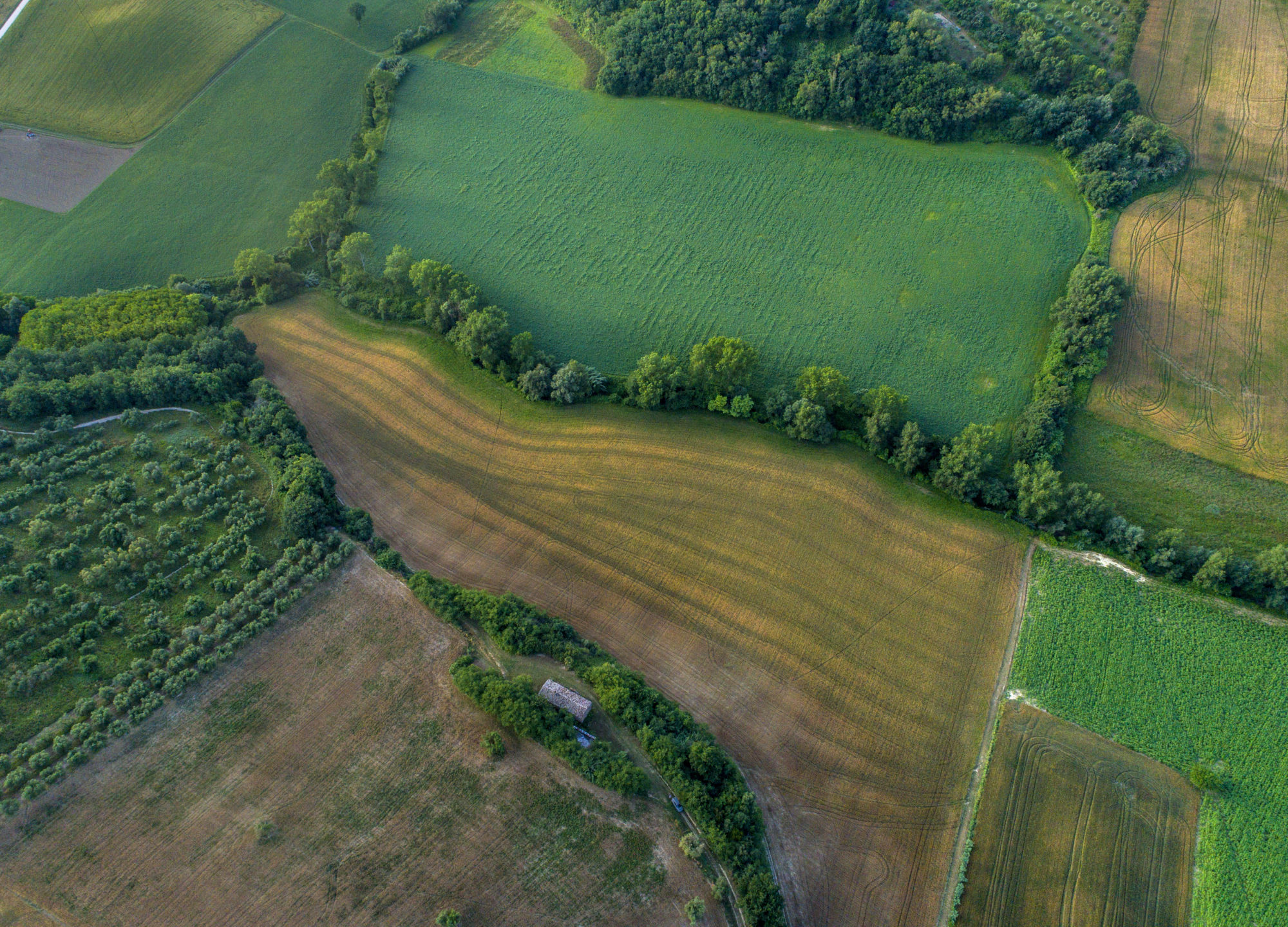 Foto di Drone: Riprese aeree