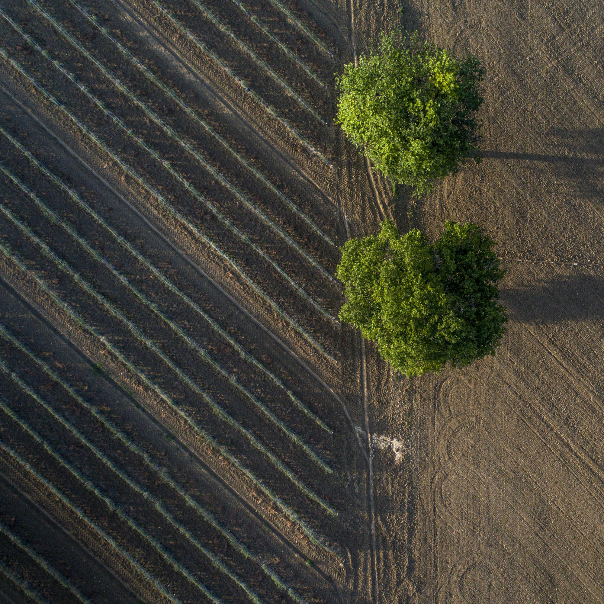 Foto di Drone: Riprese aeree