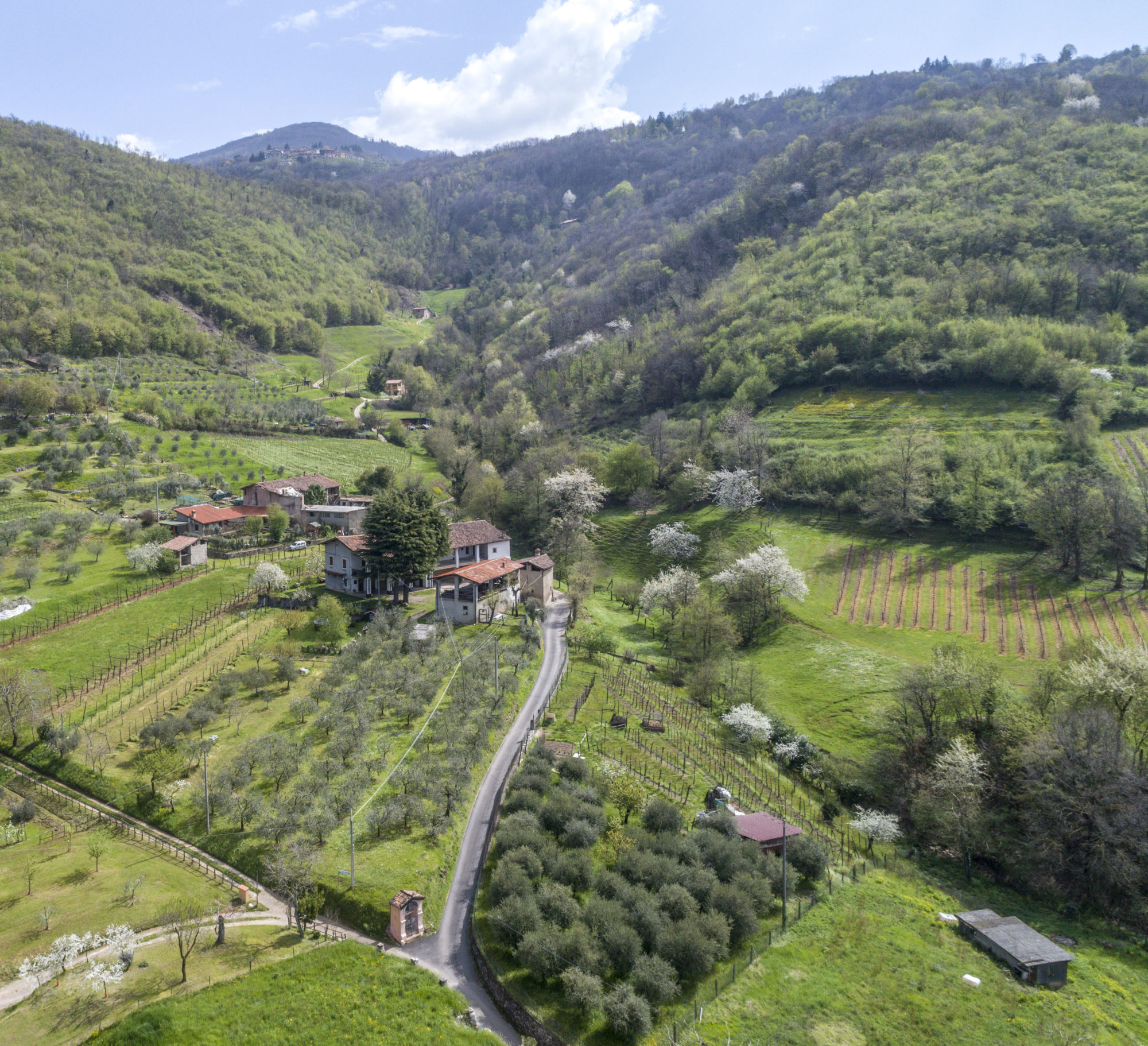 Foto di Drone: Riprese aeree