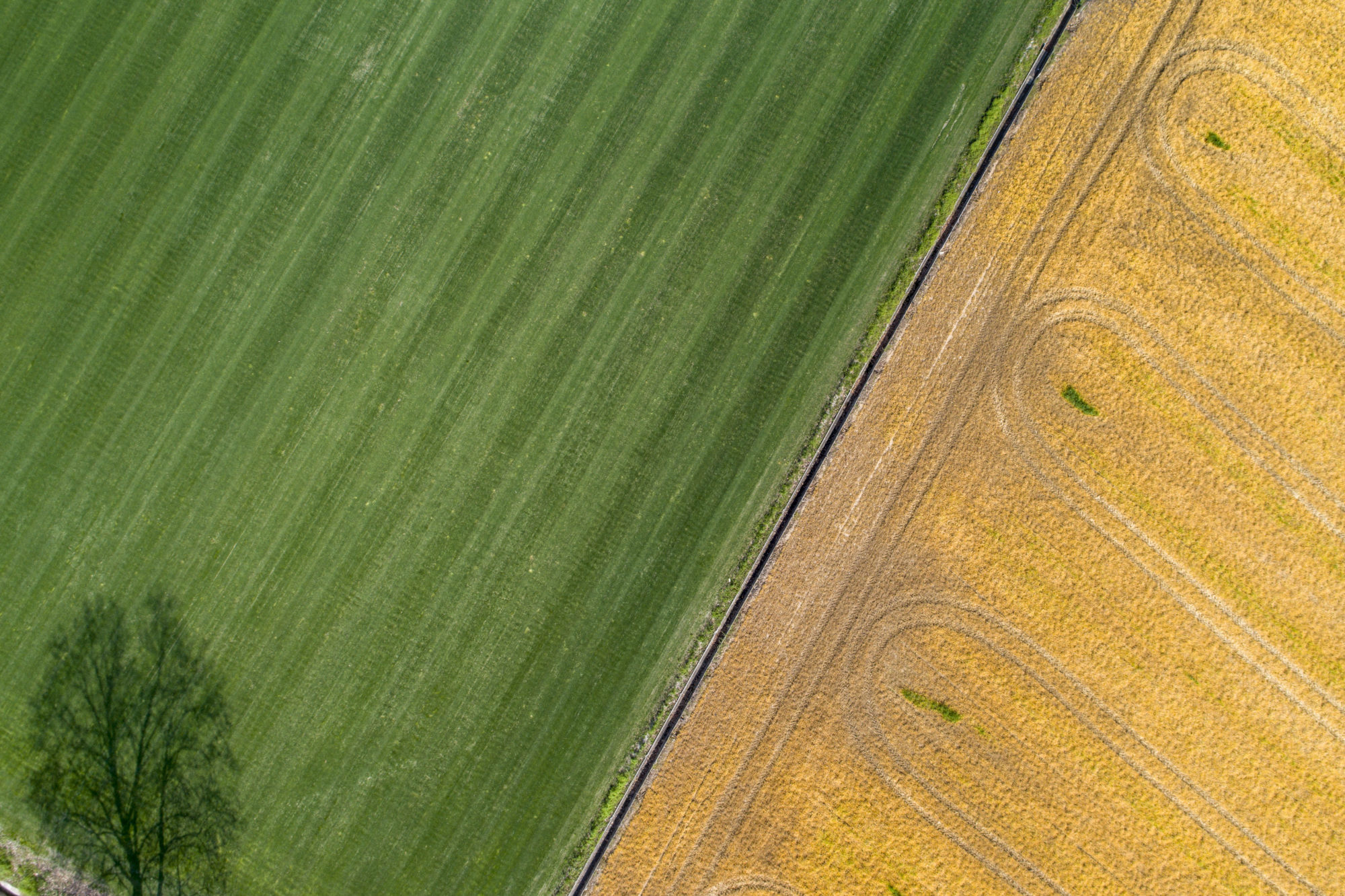 Foto di Drone: Riprese aeree