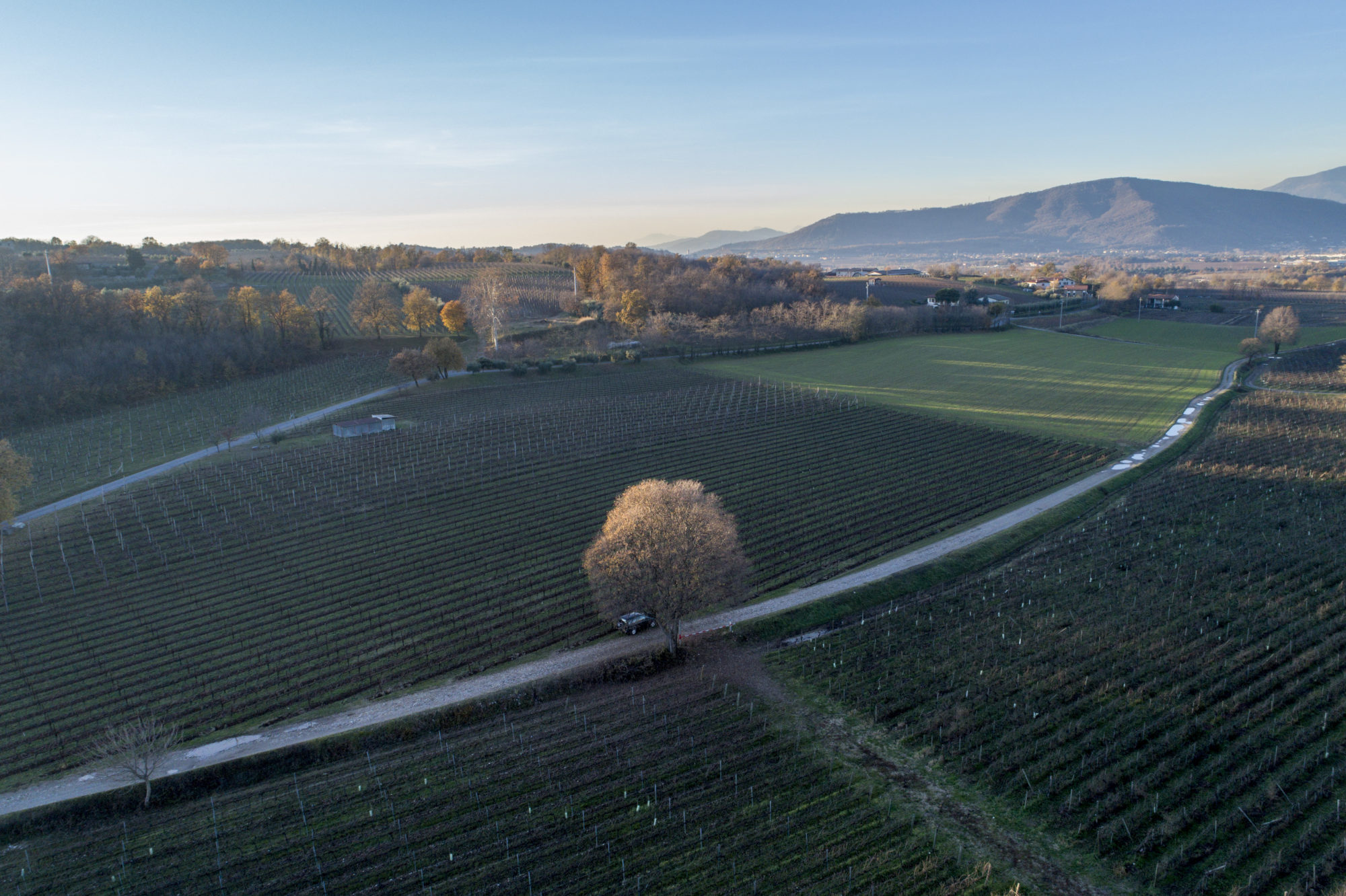 Foto di Drone: Riprese aeree