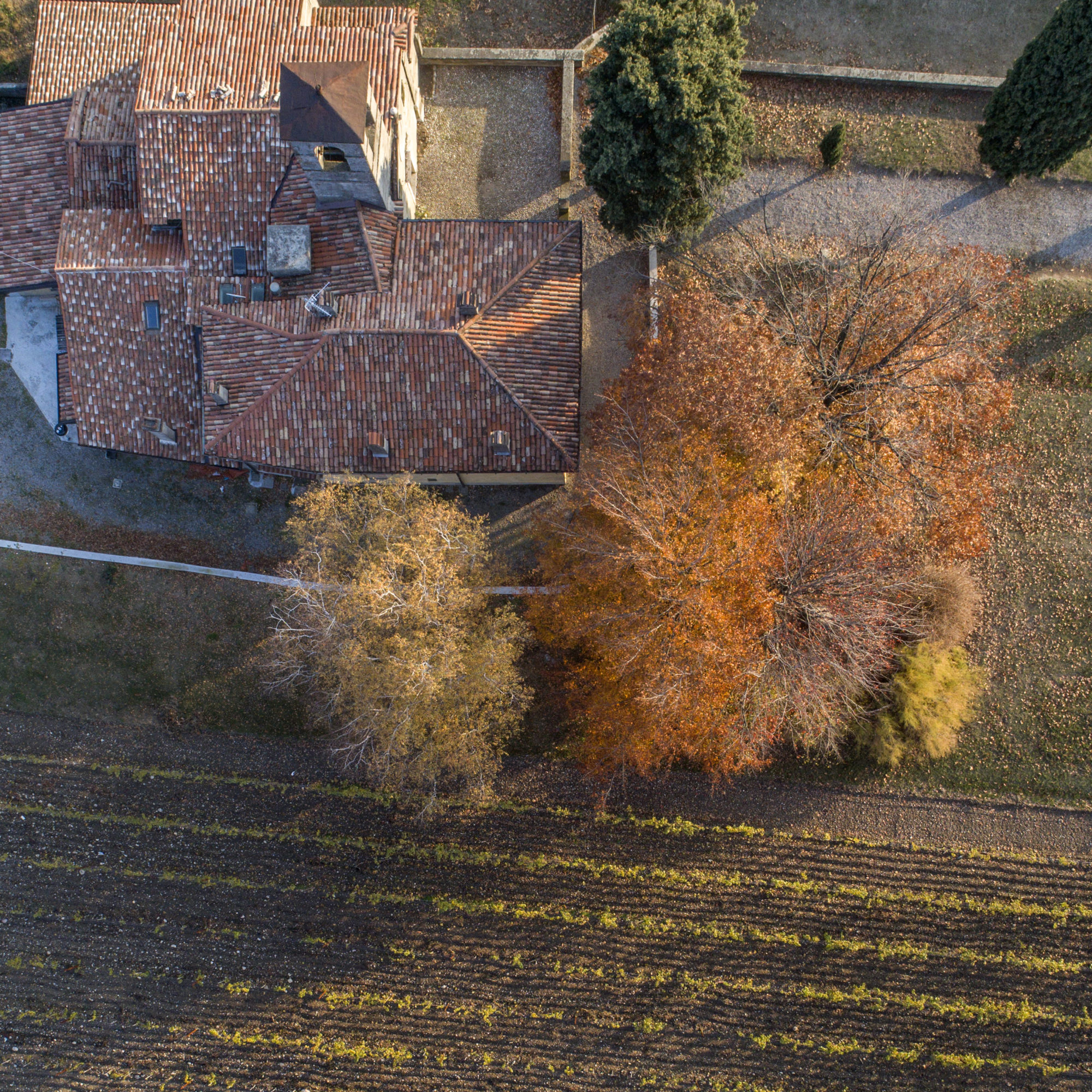 Foto di Drone: Riprese aeree