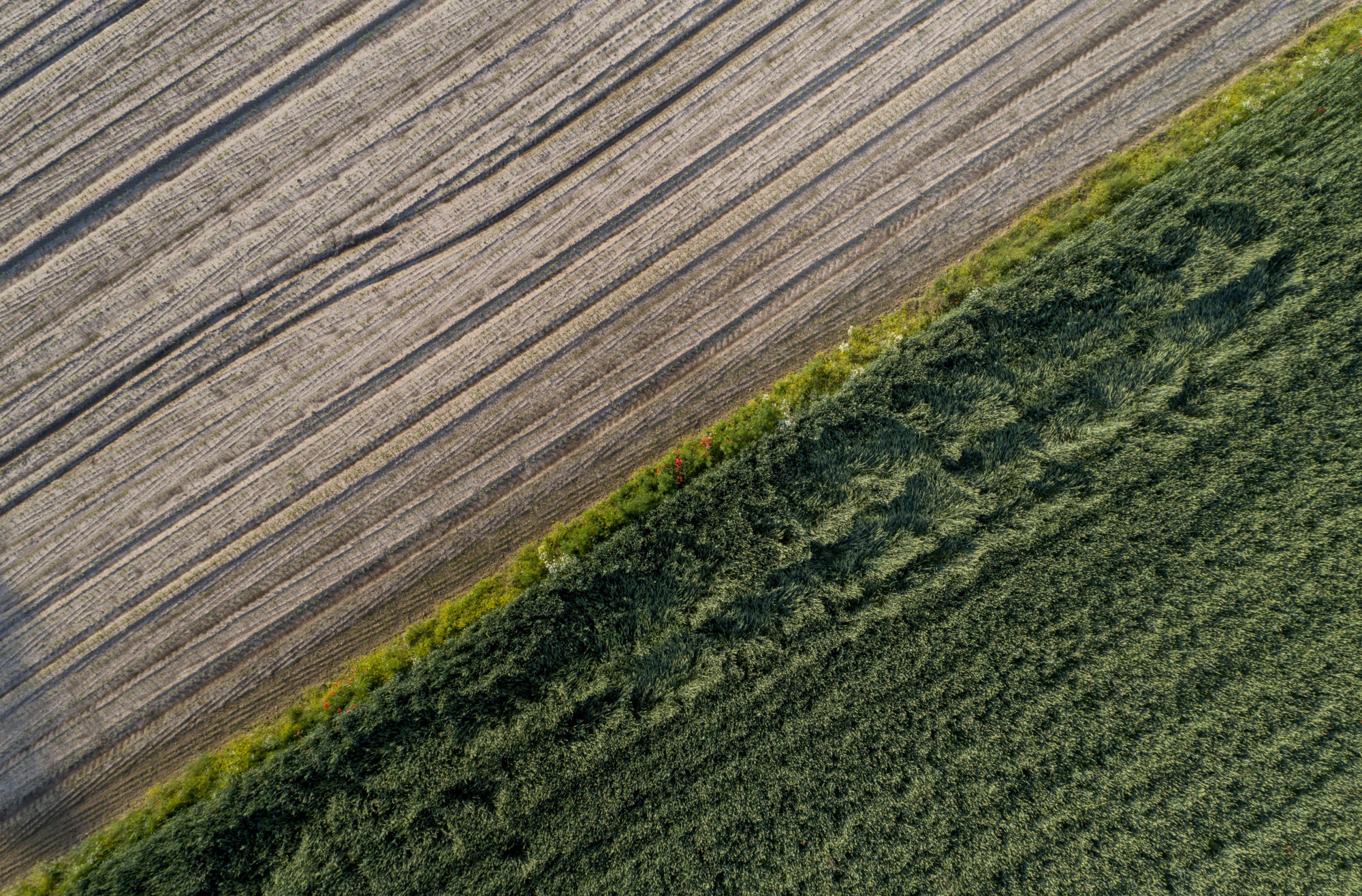 Foto di Drone: Riprese aeree