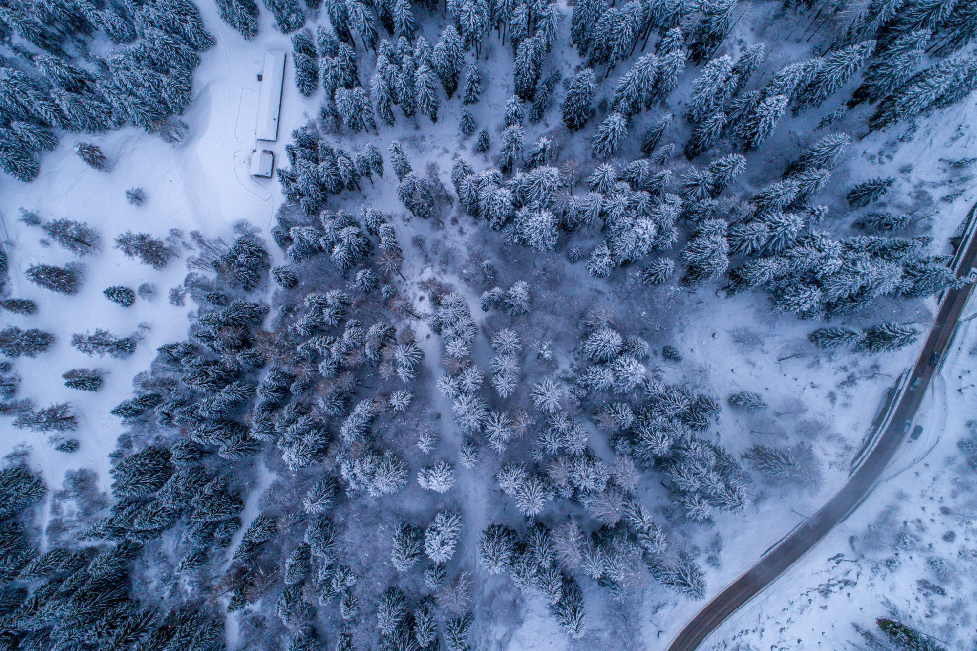 Foto di Madonna di Campiglio