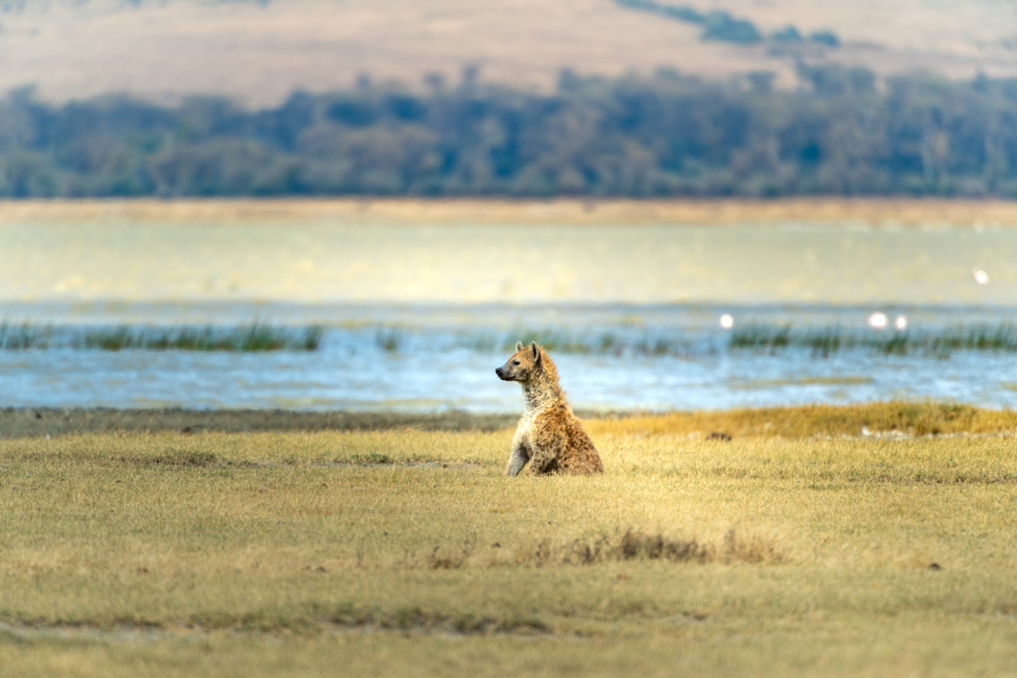 Foto di Tanzania