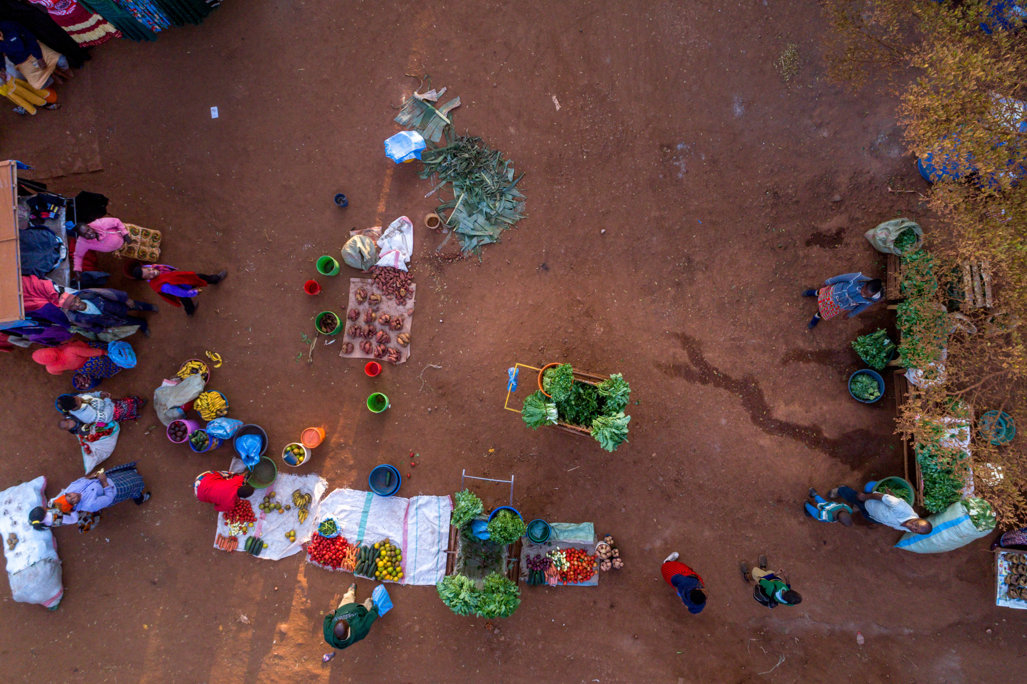 Foto di Tanzania