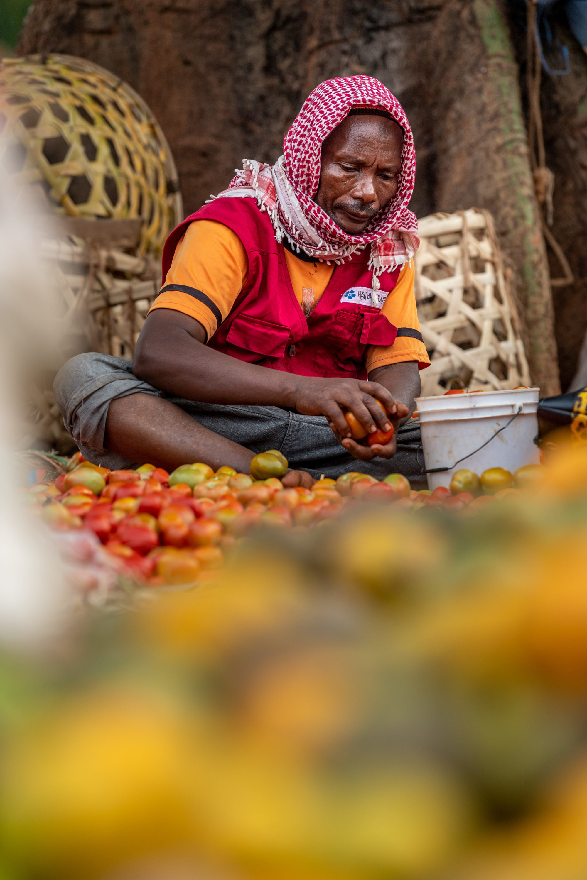 Foto di Tanzania