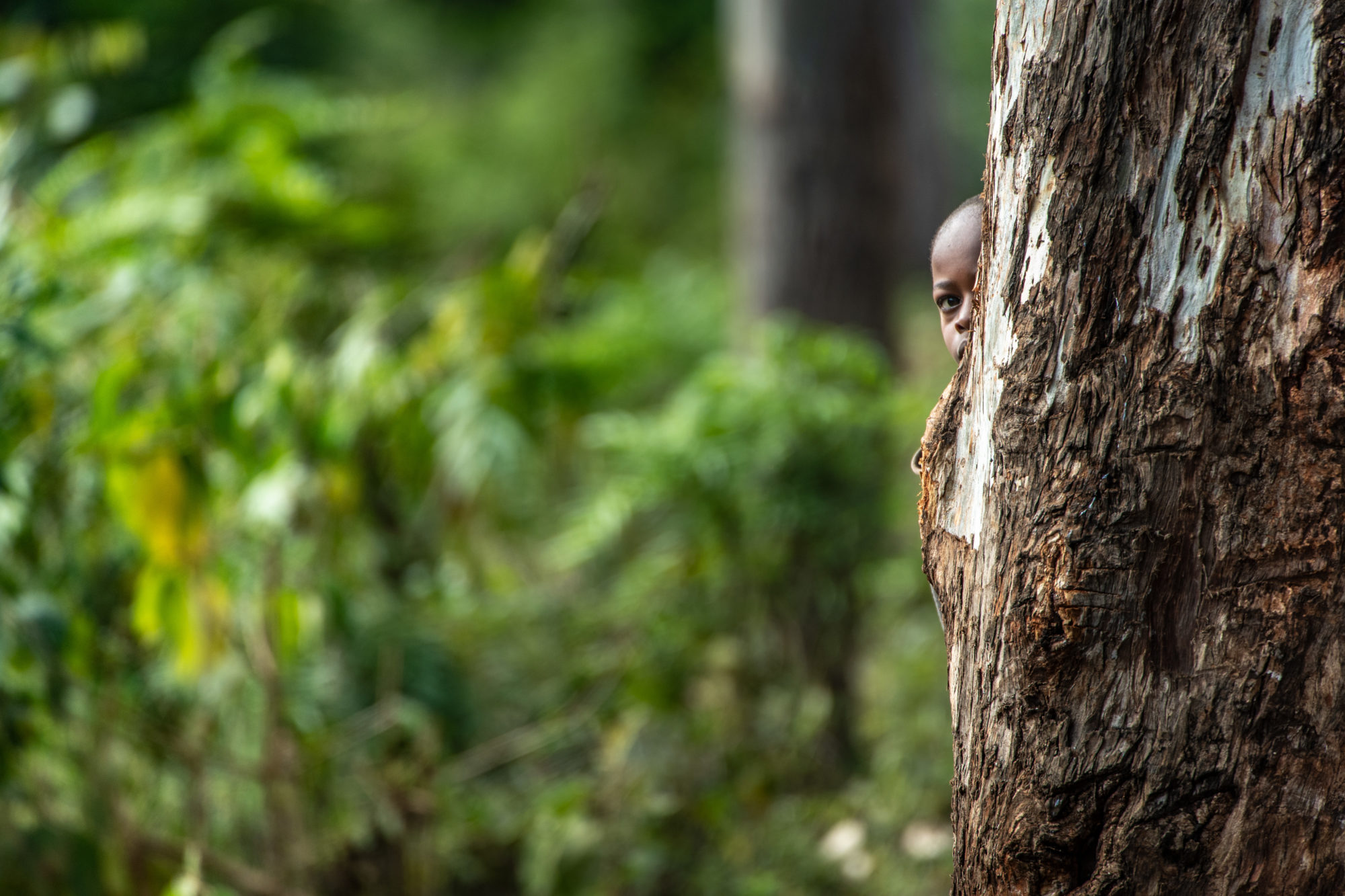 Foto di Tanzania