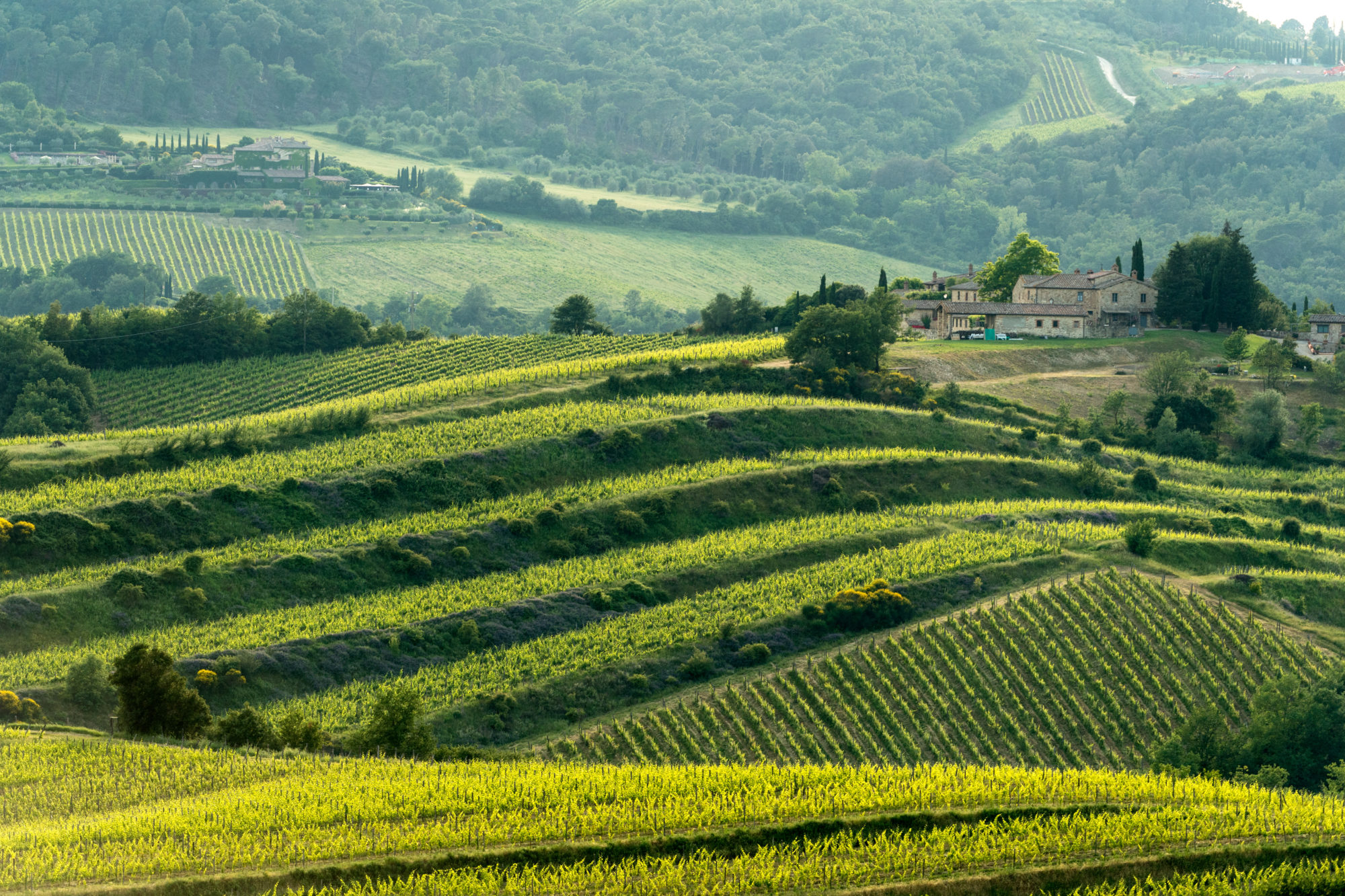 Foto di Toscana