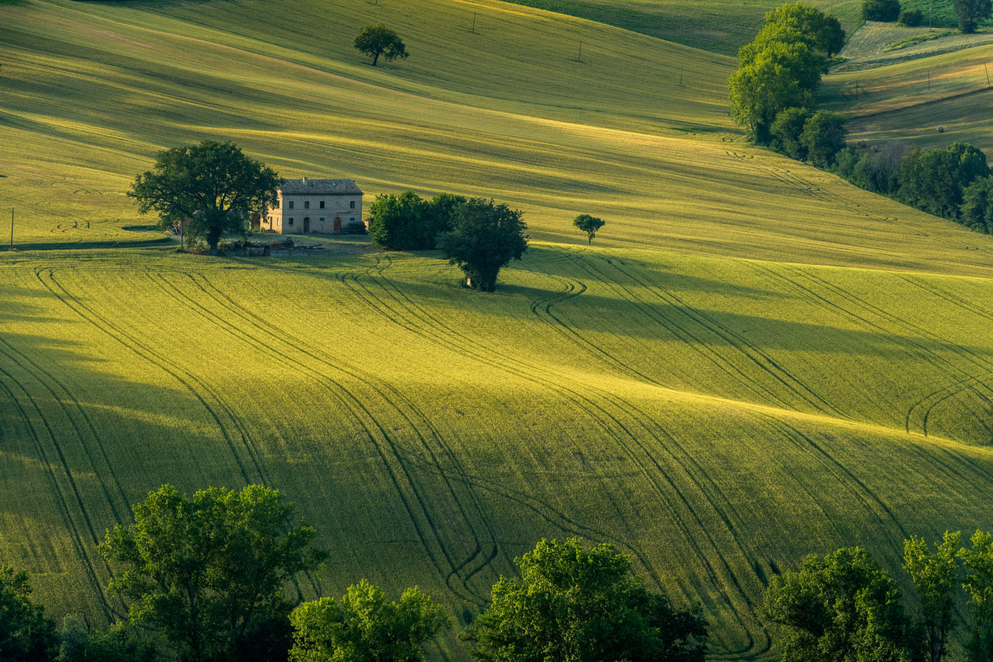 Foto di Toscana