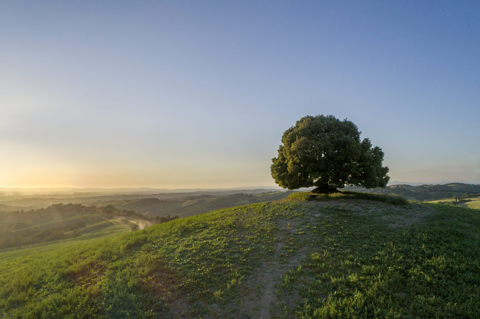 Foto di Toscana