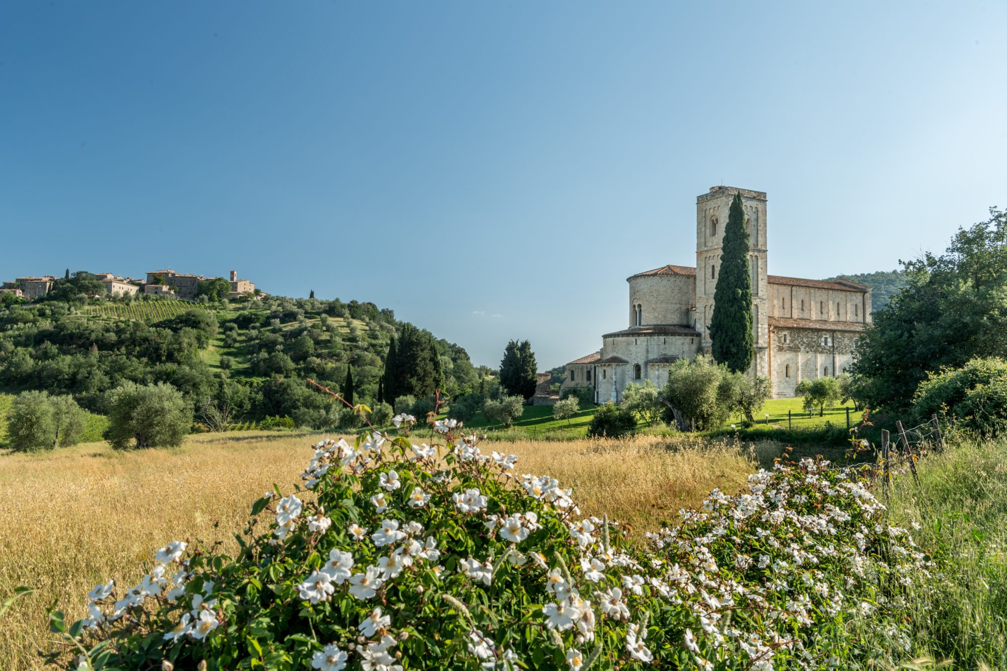 Foto di Toscana